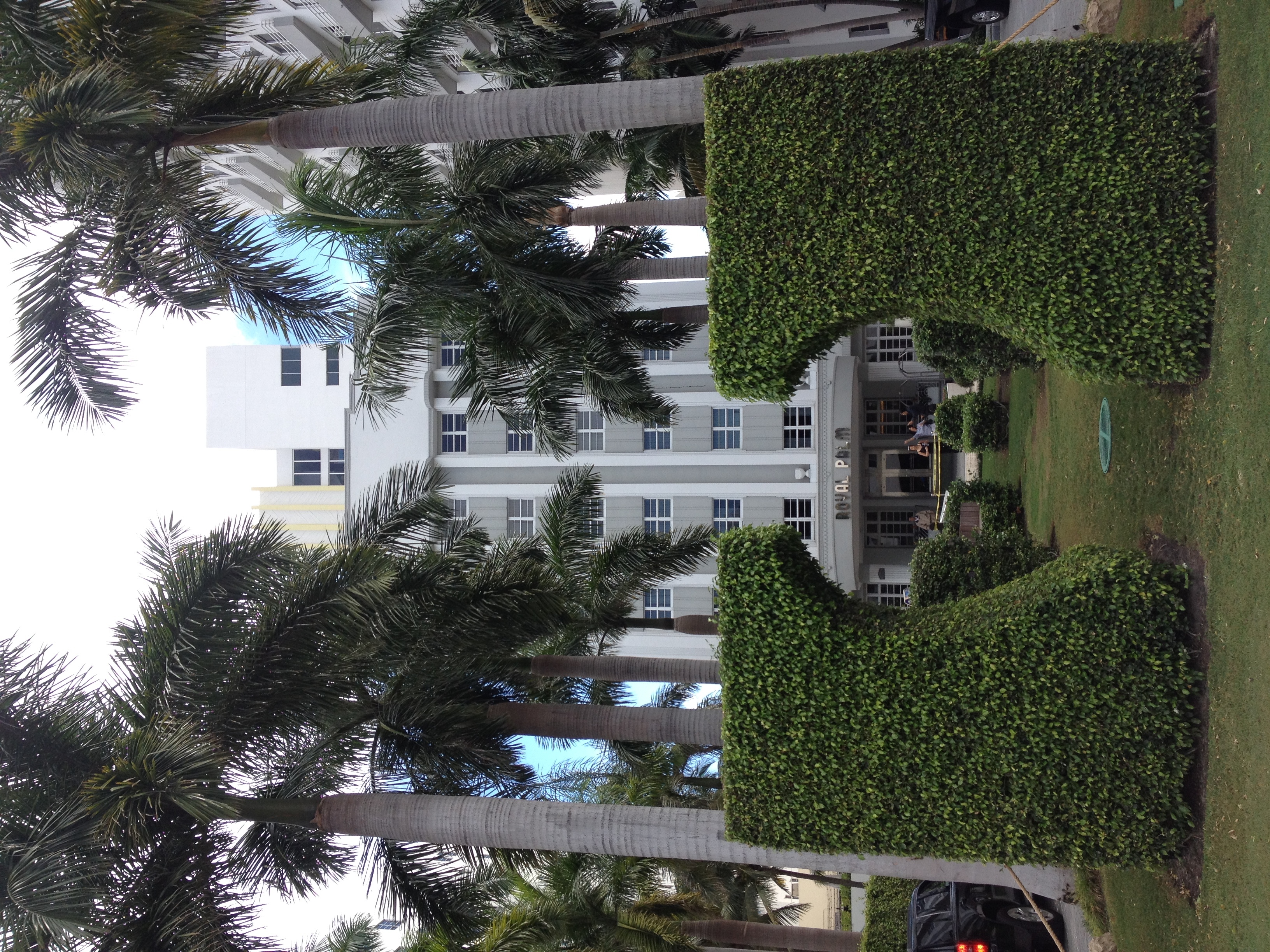 照片 美国(United States) 迈阿密海滩(Miami Beach) 2015-03 153