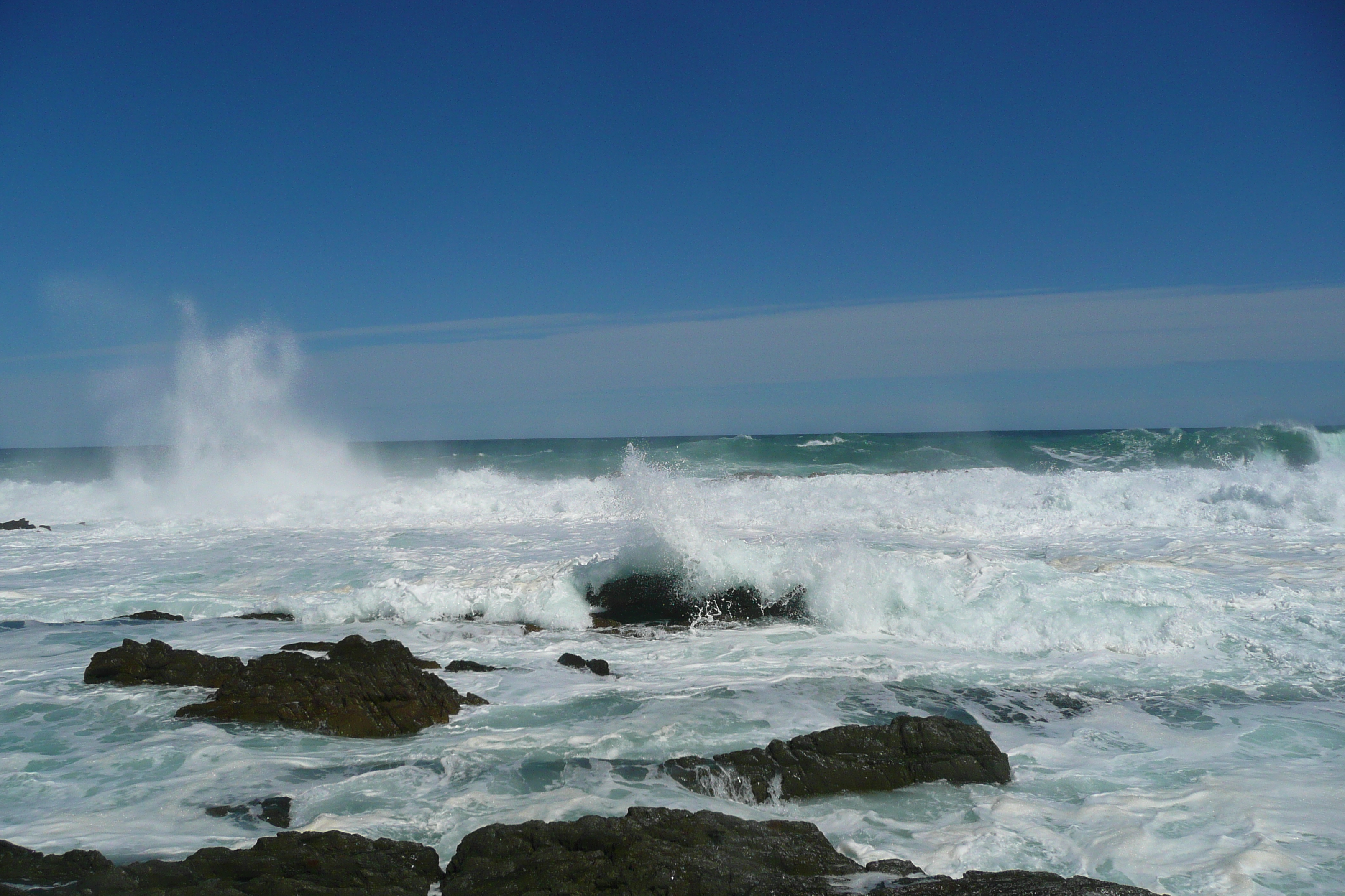 照片 南非(South Africa) 齐齐卡马国家公园(Tsitsikamma National Park) 2008-09 26