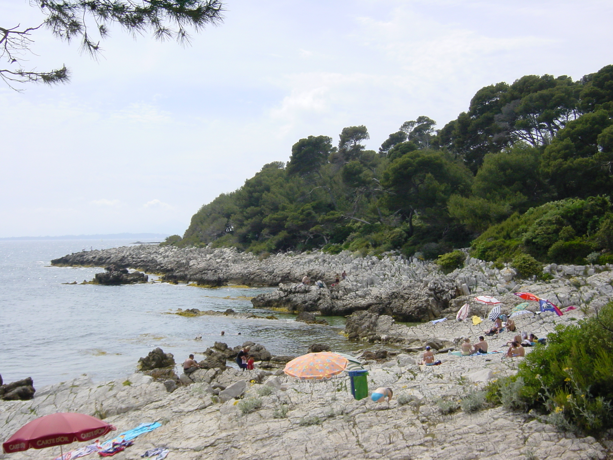 照片 法国(France) 昂蒂布角(Cap d'Antibes) 2003-05 1