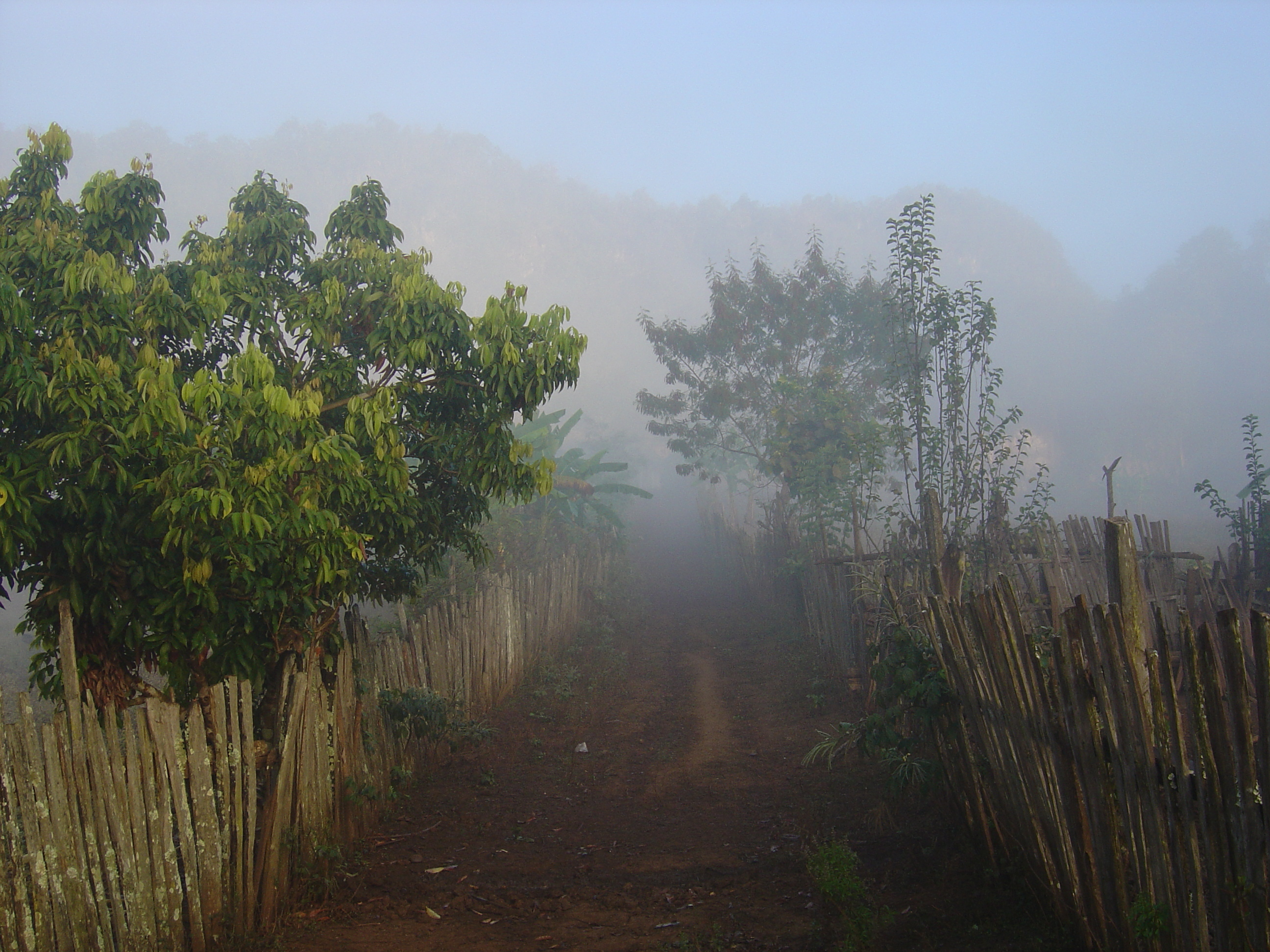 照片 泰国(Thailand) 邦玛帕(Pang Mapha) 2005-12 204