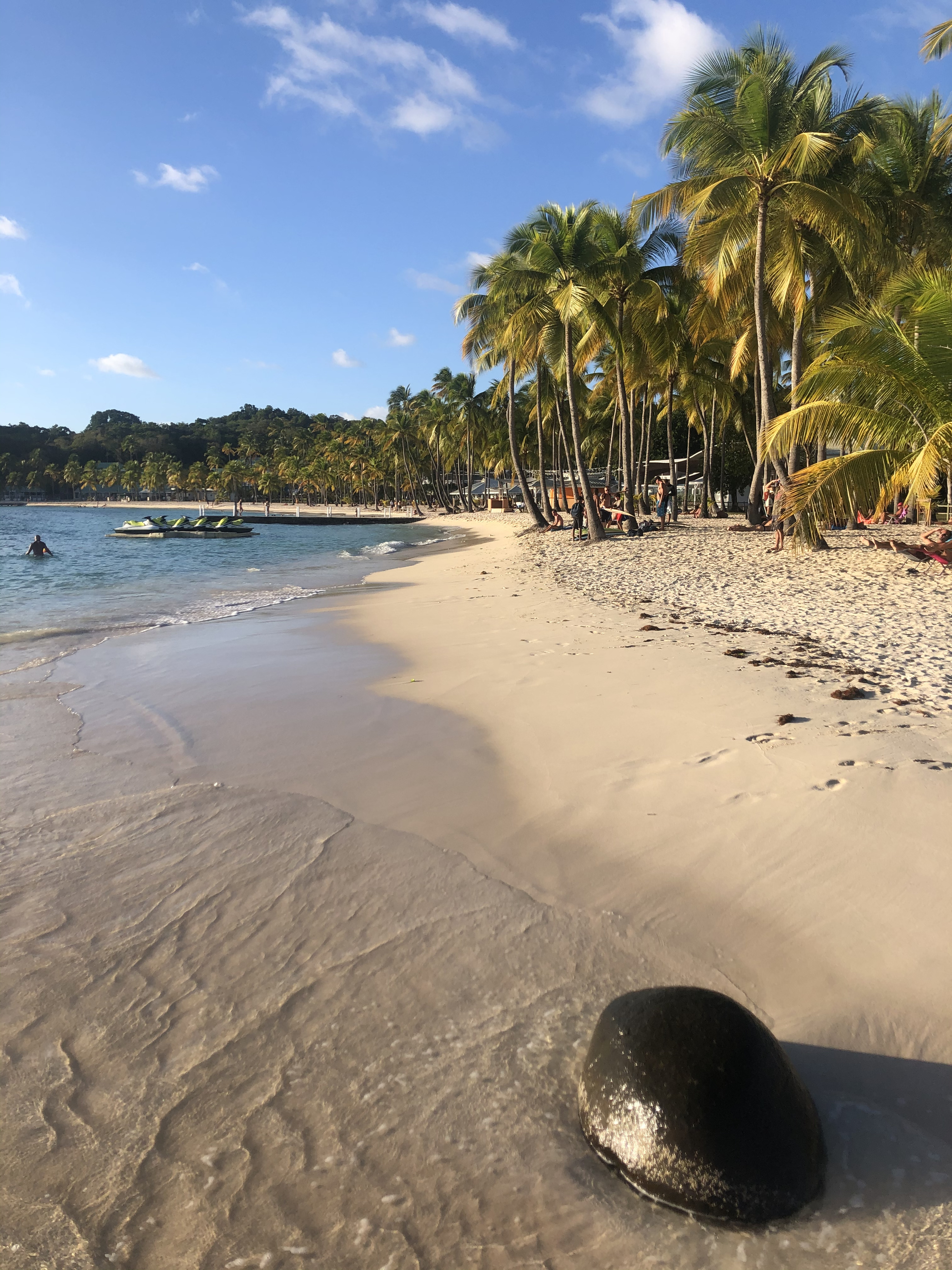照片 瓜德罗普(Guadeloupe) 卡拉维尔海滩(La Caravelle Beach) 2021-02 15