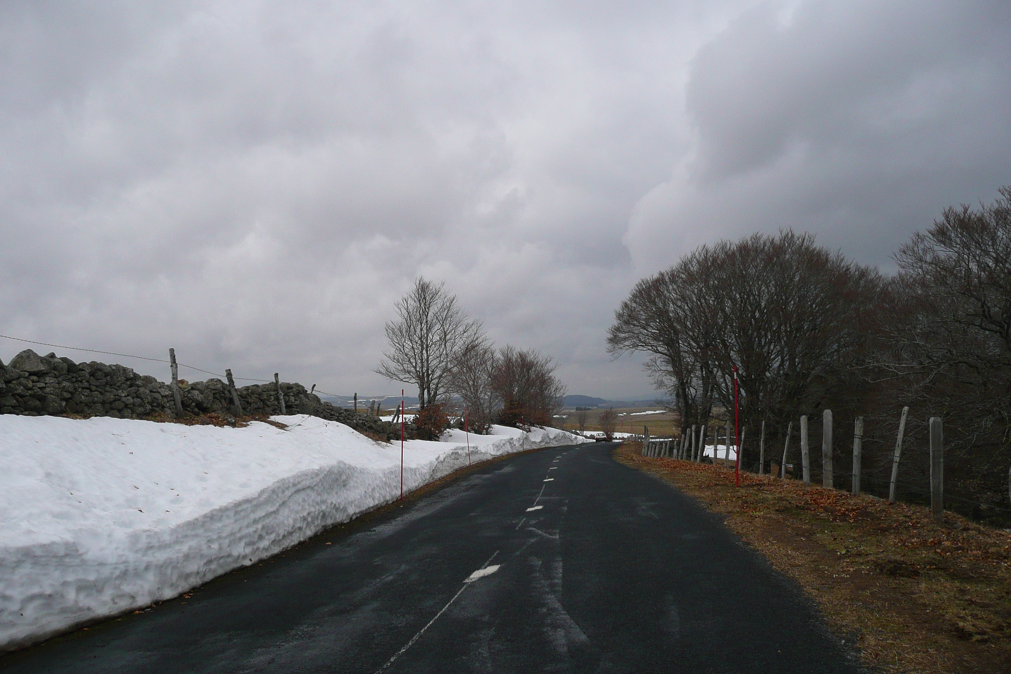照片 法国(France) 奥布拉克(L'Aubrac) 2008-04 25