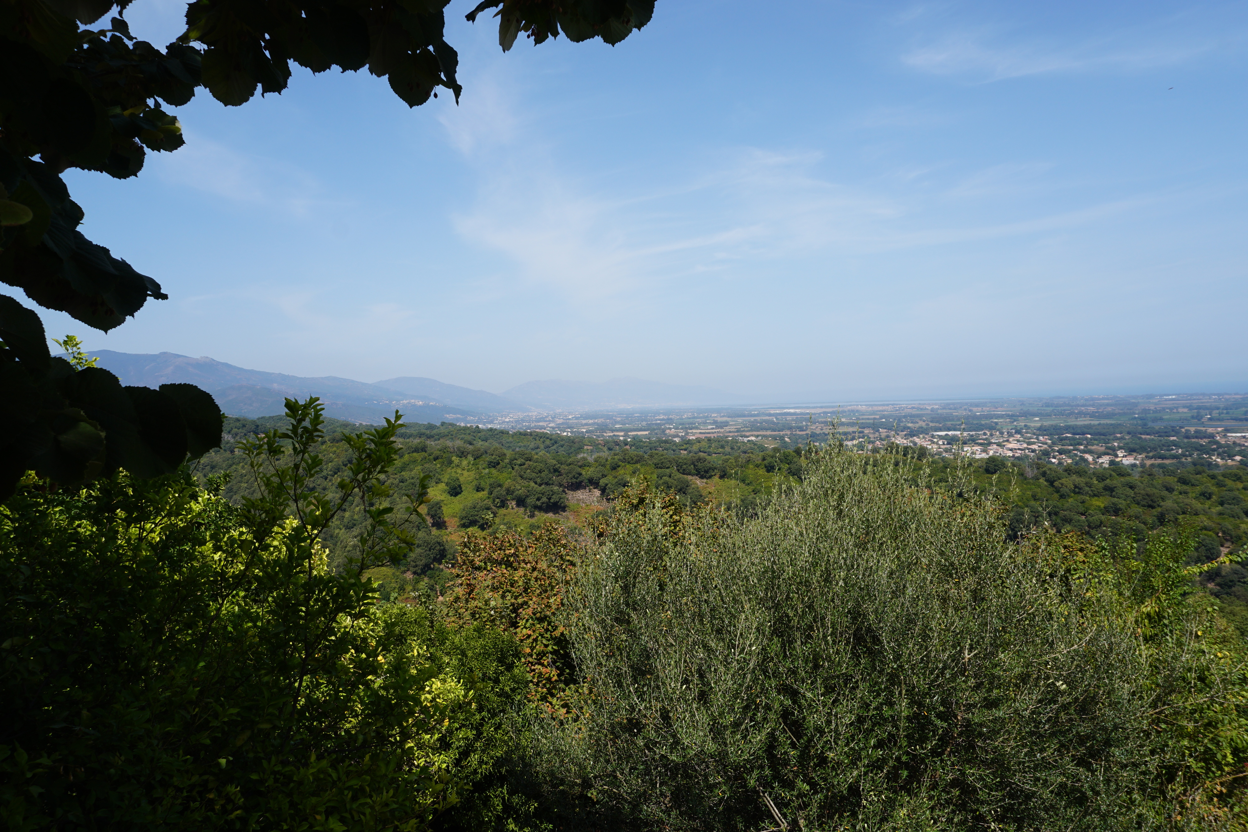 照片 法国(France) 科西嘉岛(Corsica) 卡斯泰拉雷-迪卡辛卡(Castellare-di-Casinca) 2017-09 1