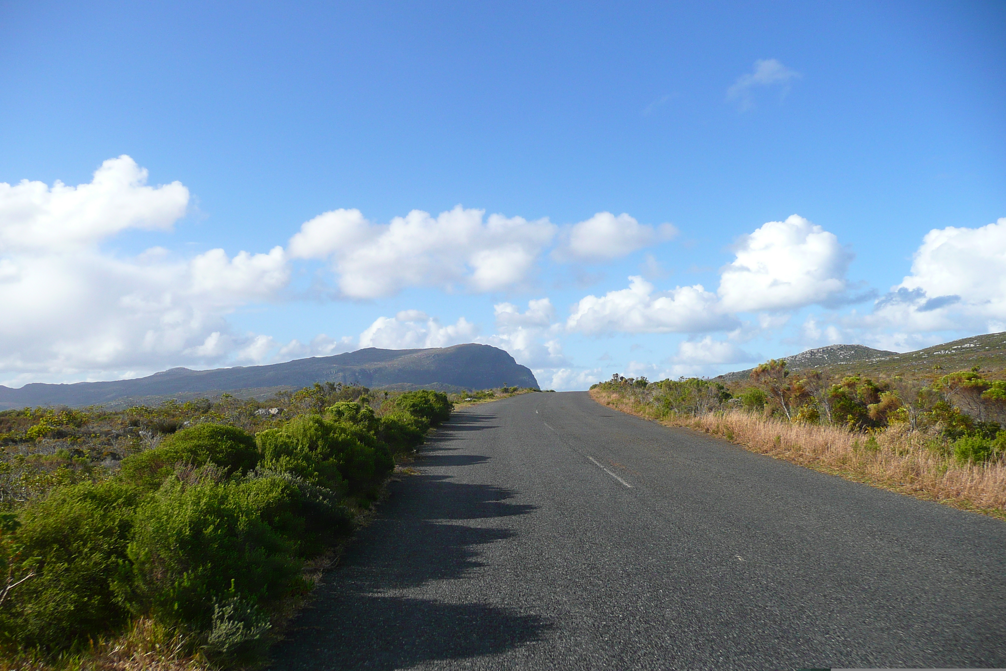 照片 南非(South Africa) 好望角(Cape of Good Hope) 开普角(Cape Point) 2008-09 11