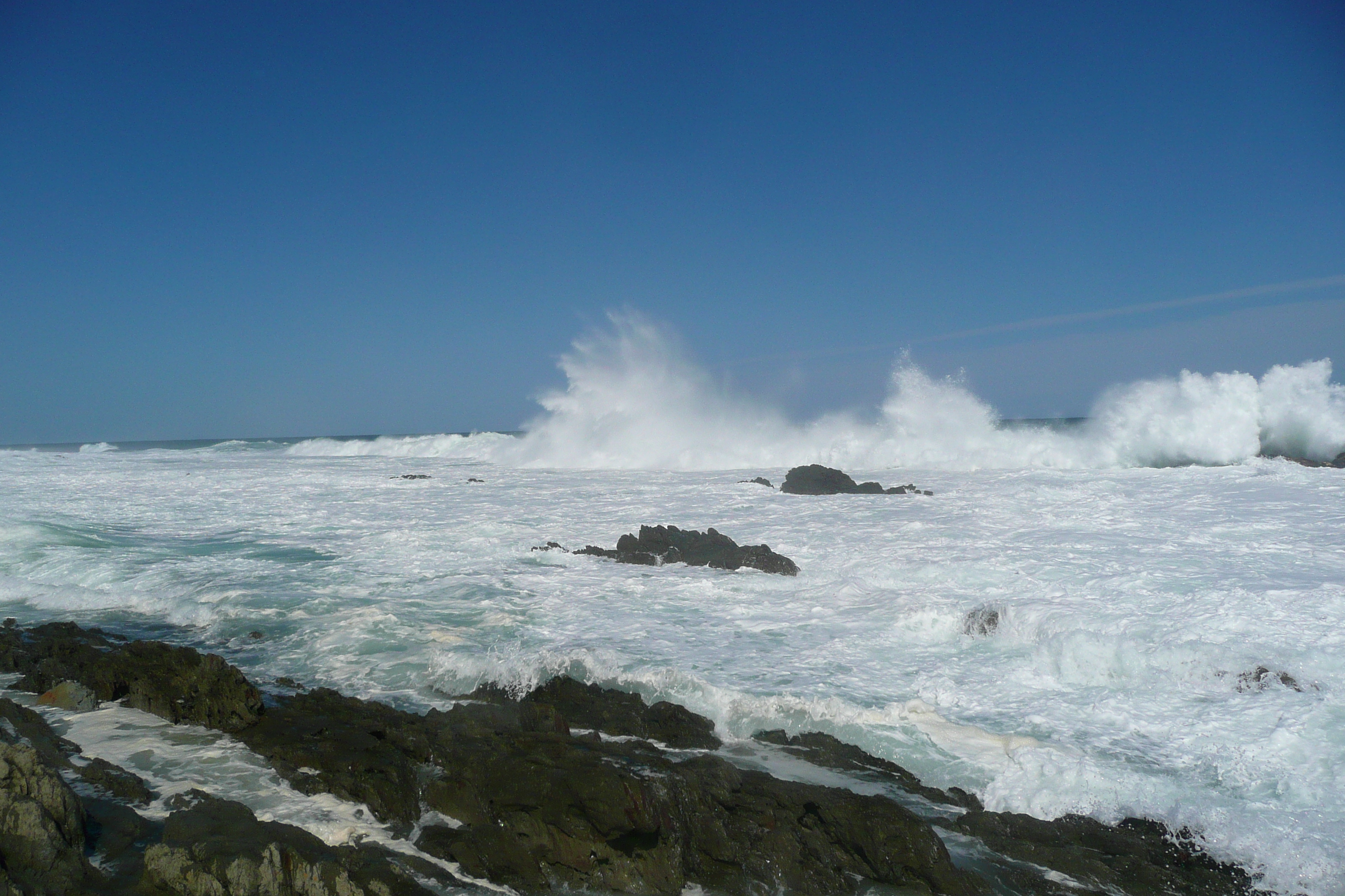 照片 南非(South Africa) 齐齐卡马国家公园(Tsitsikamma National Park) 2008-09 417