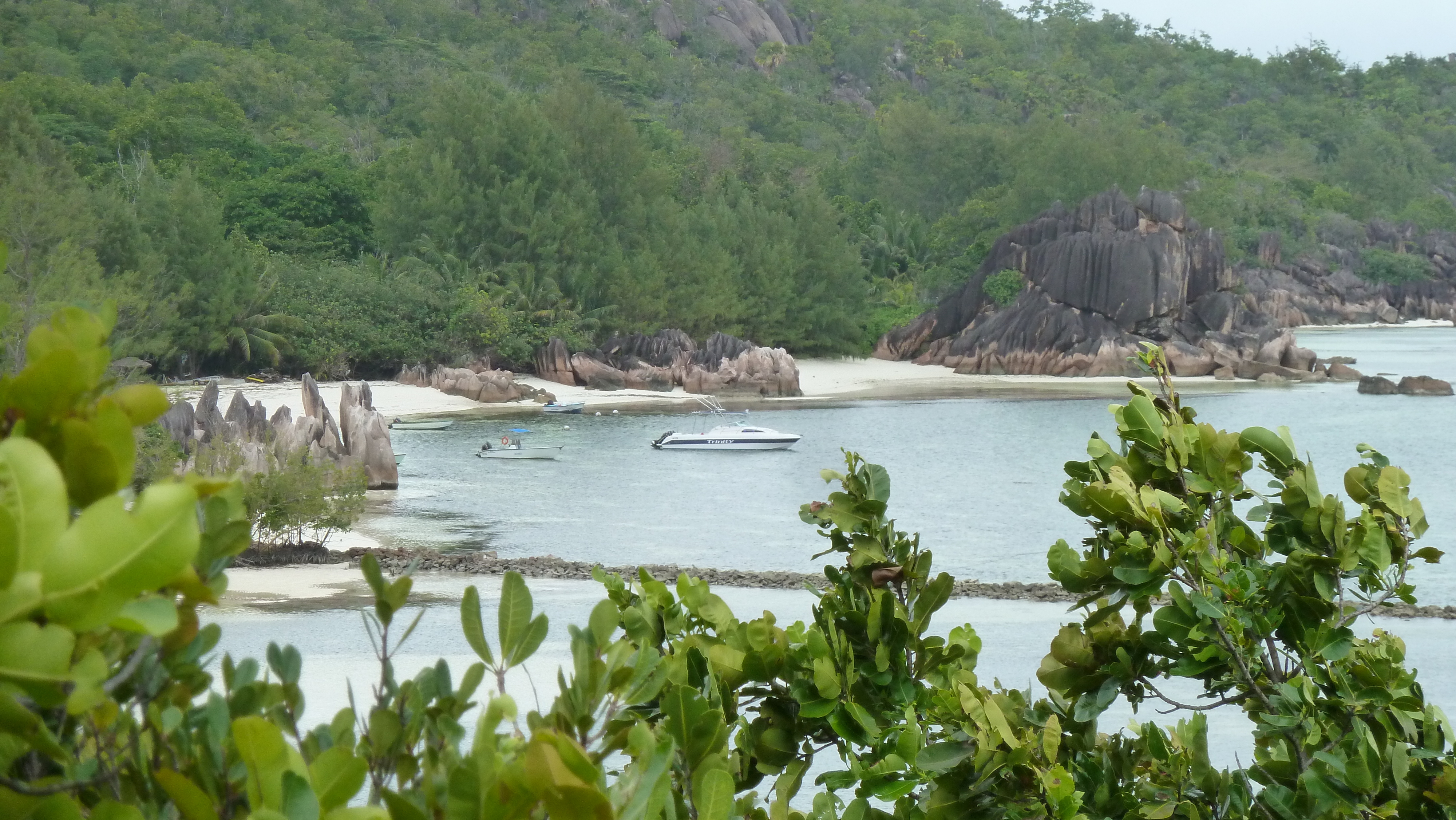 照片 塞舌尔(Seychelles) 居里厄斯岛(Curieuse) 2011-10 57