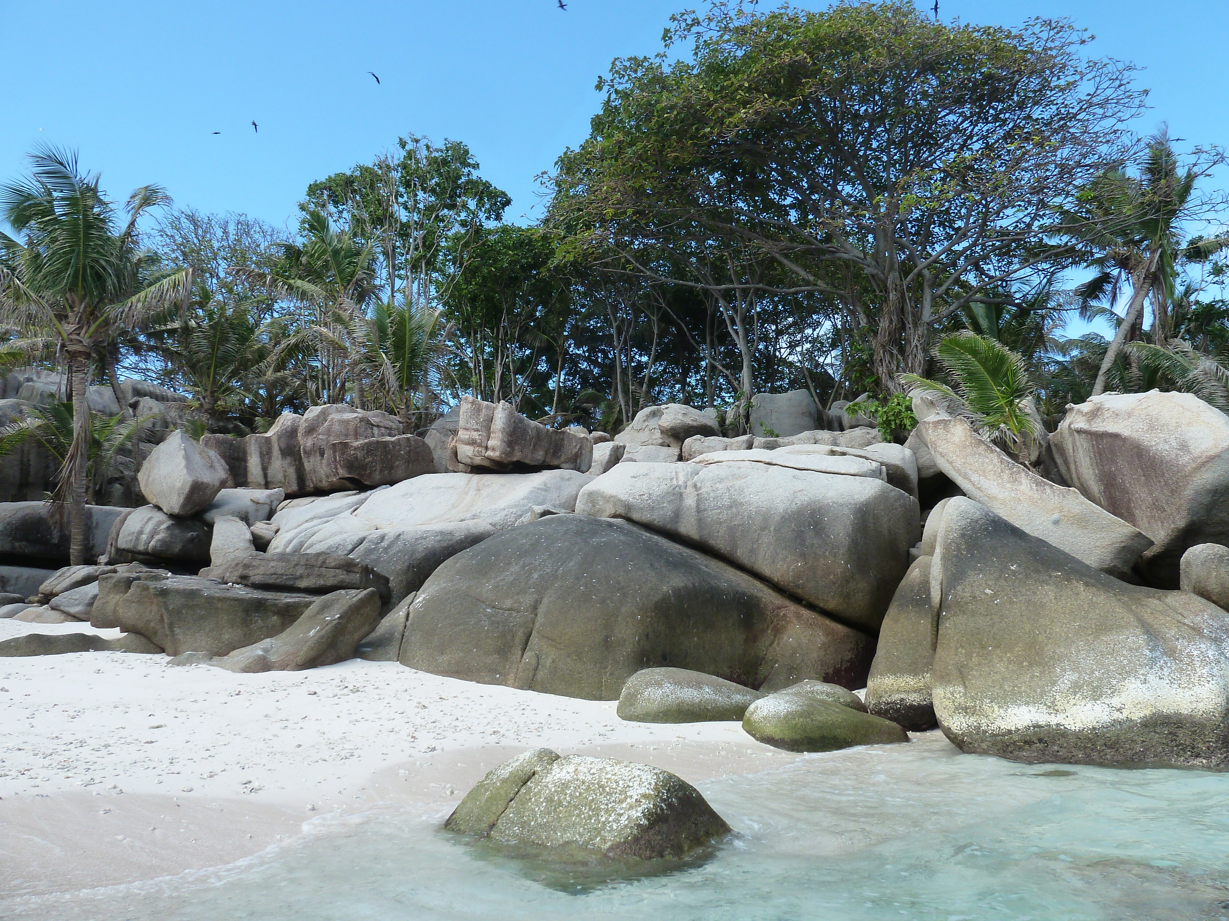 照片 塞舌尔(Seychelles) 椰子岛(Coco Island) 2011-10 12