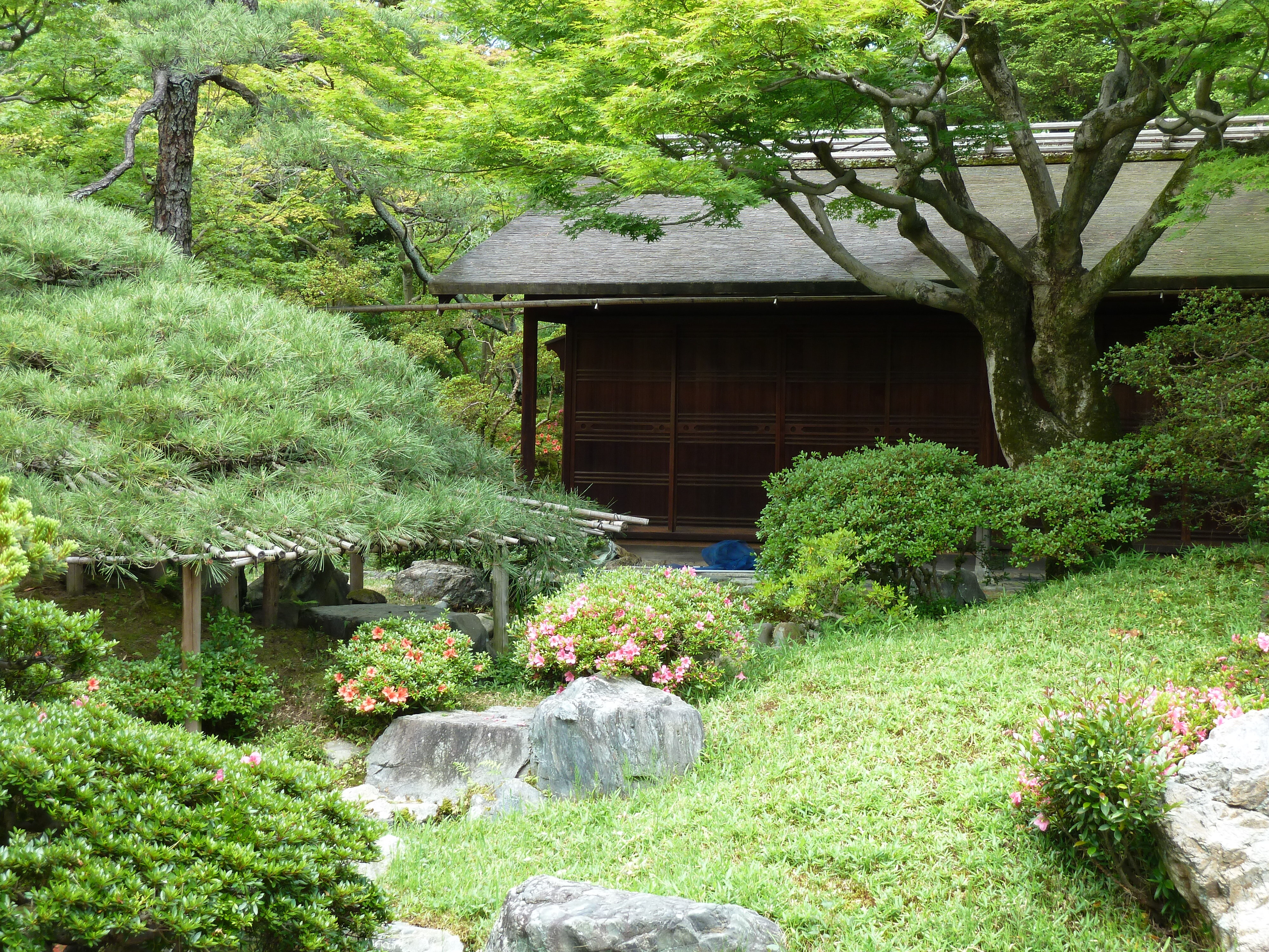 照片 日本(Japan) 京都(Kyoto) 京都御所(Kyoto Imperial Palace) 2010-06 81