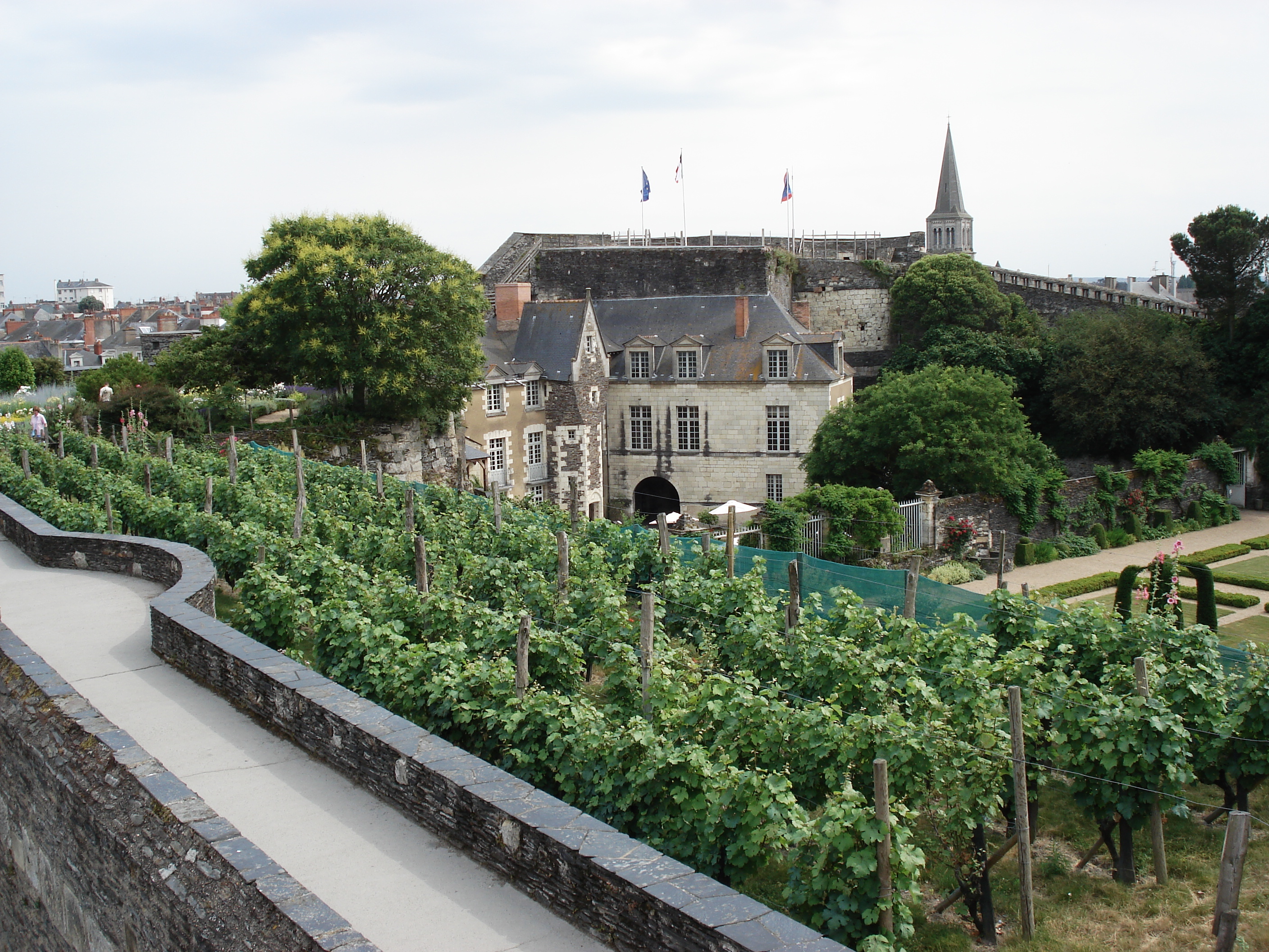 照片 法国(France) 昂热(Angers) 2006-06 100