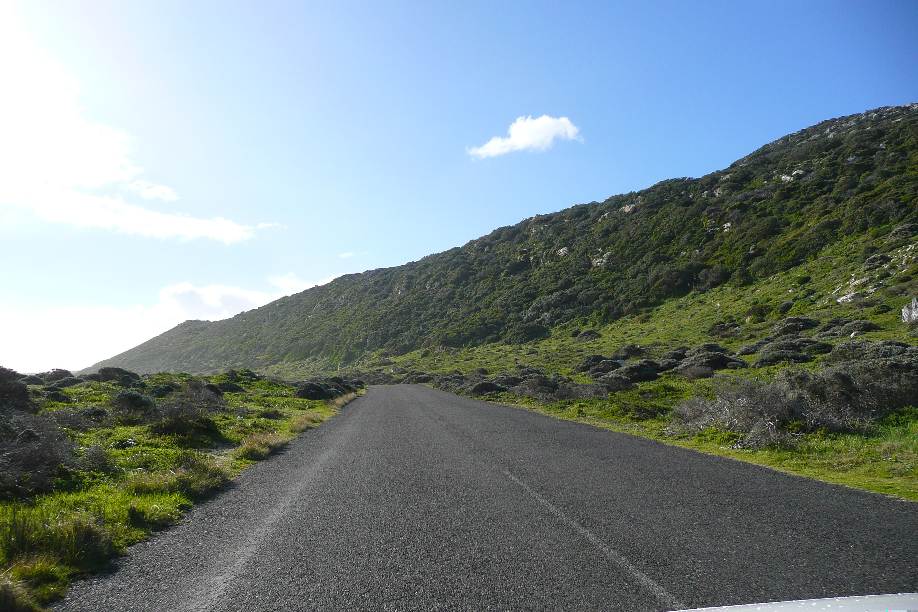照片 南非(South Africa) 好望角(Cape of Good Hope) 开普角(Cape Point) 2008-09 100
