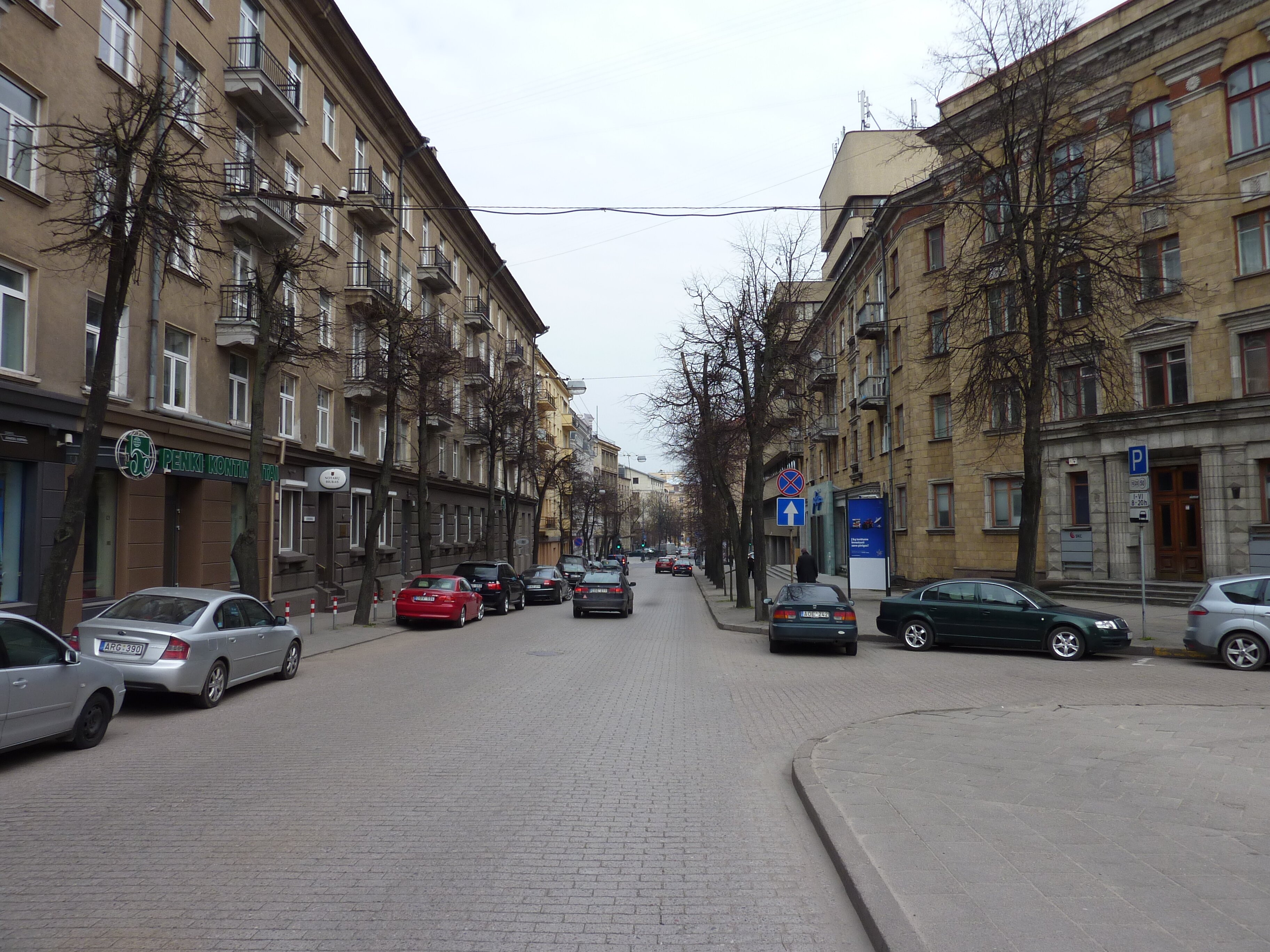 照片 立陶宛(Lithuania) 维尔纽斯(Vilnius) 2009-04 20