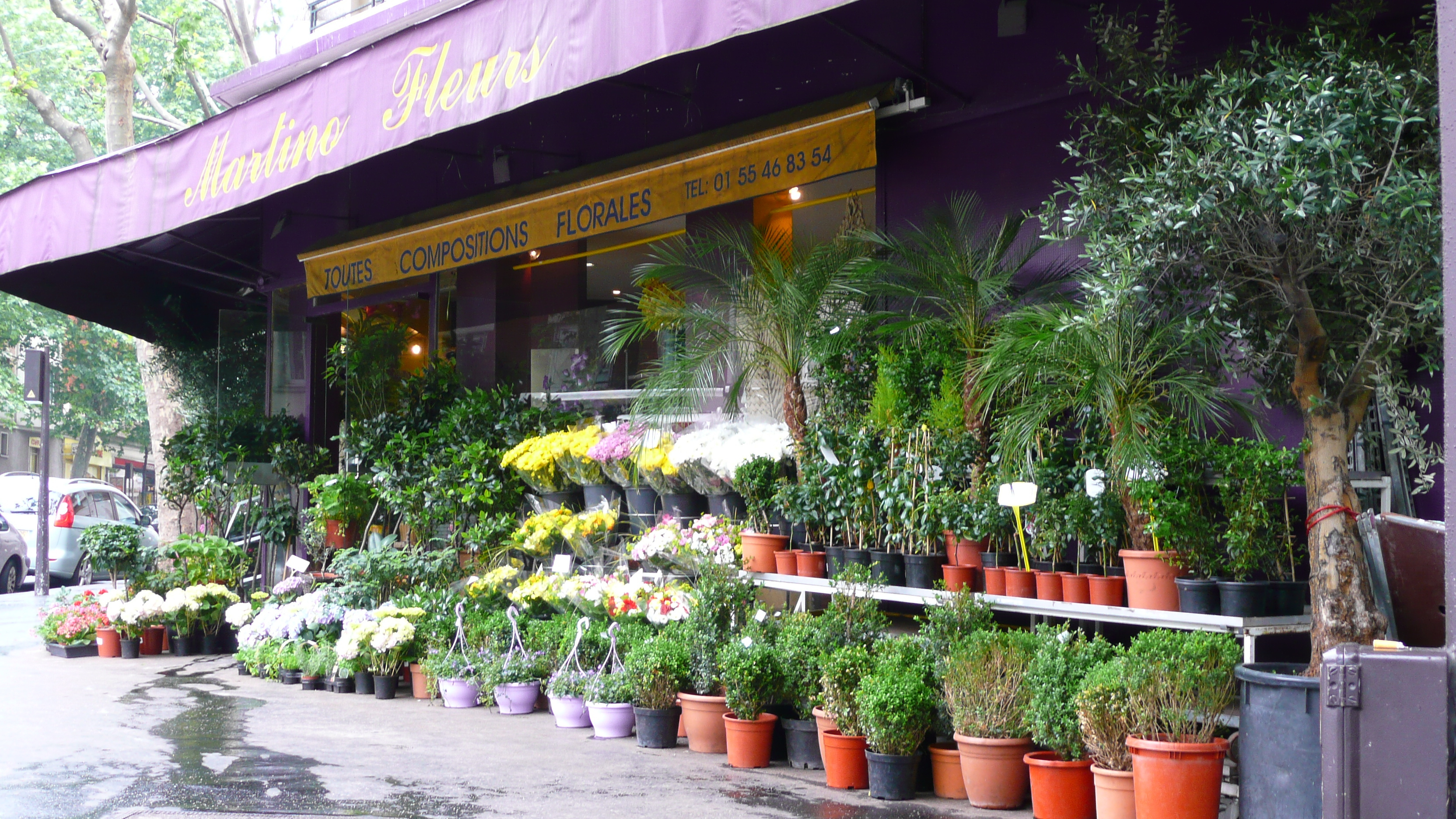 照片 法国(France) 巴黎(Paris) 巴黎北郊(Around Paris north) 2007-06 120