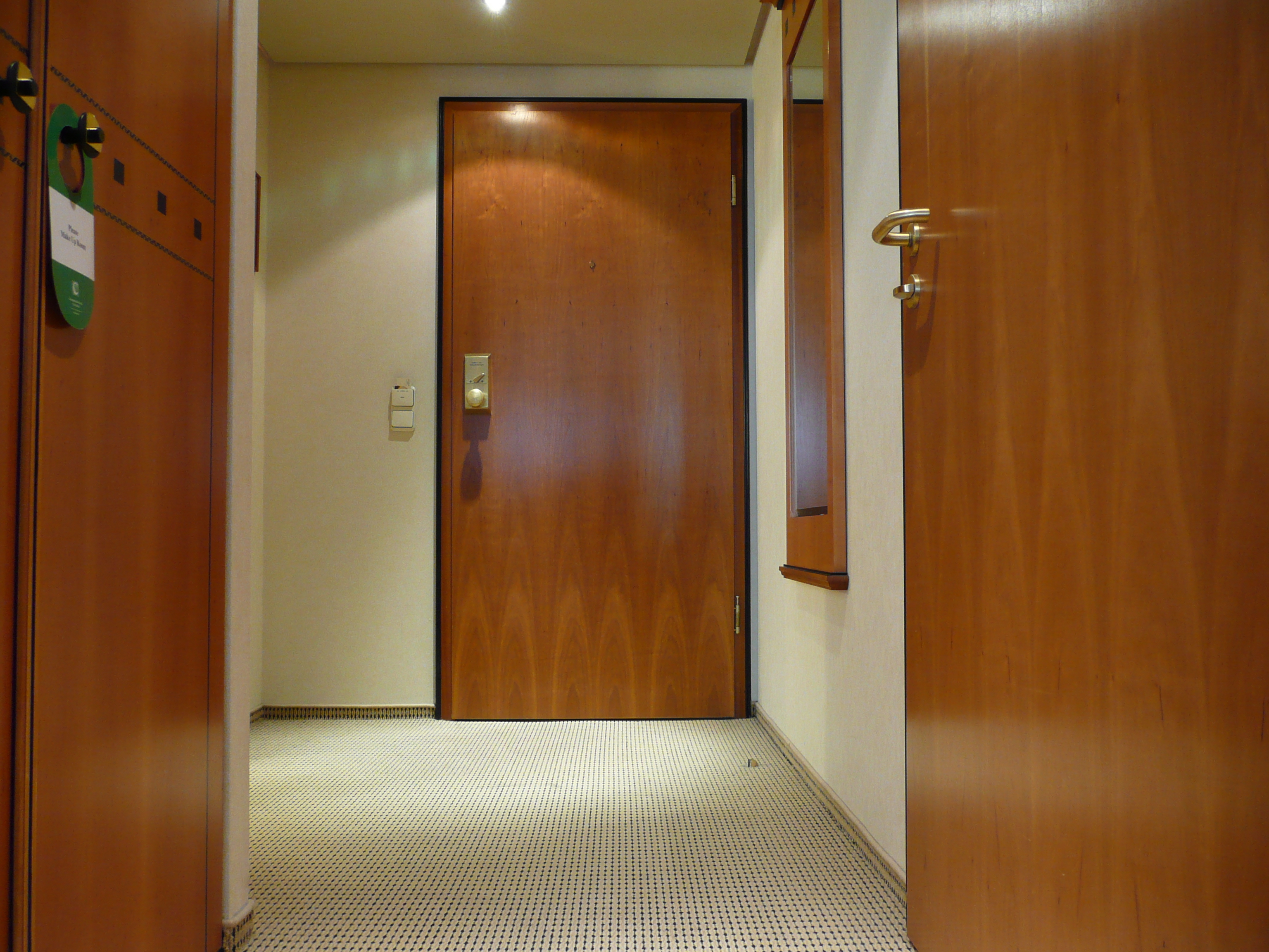 照片 匈牙利(Hungary) 布达佩斯(Budapest) 科尔维努斯凯宾斯基酒店(Kempinski Hotel Corvinus) 2007-06 22