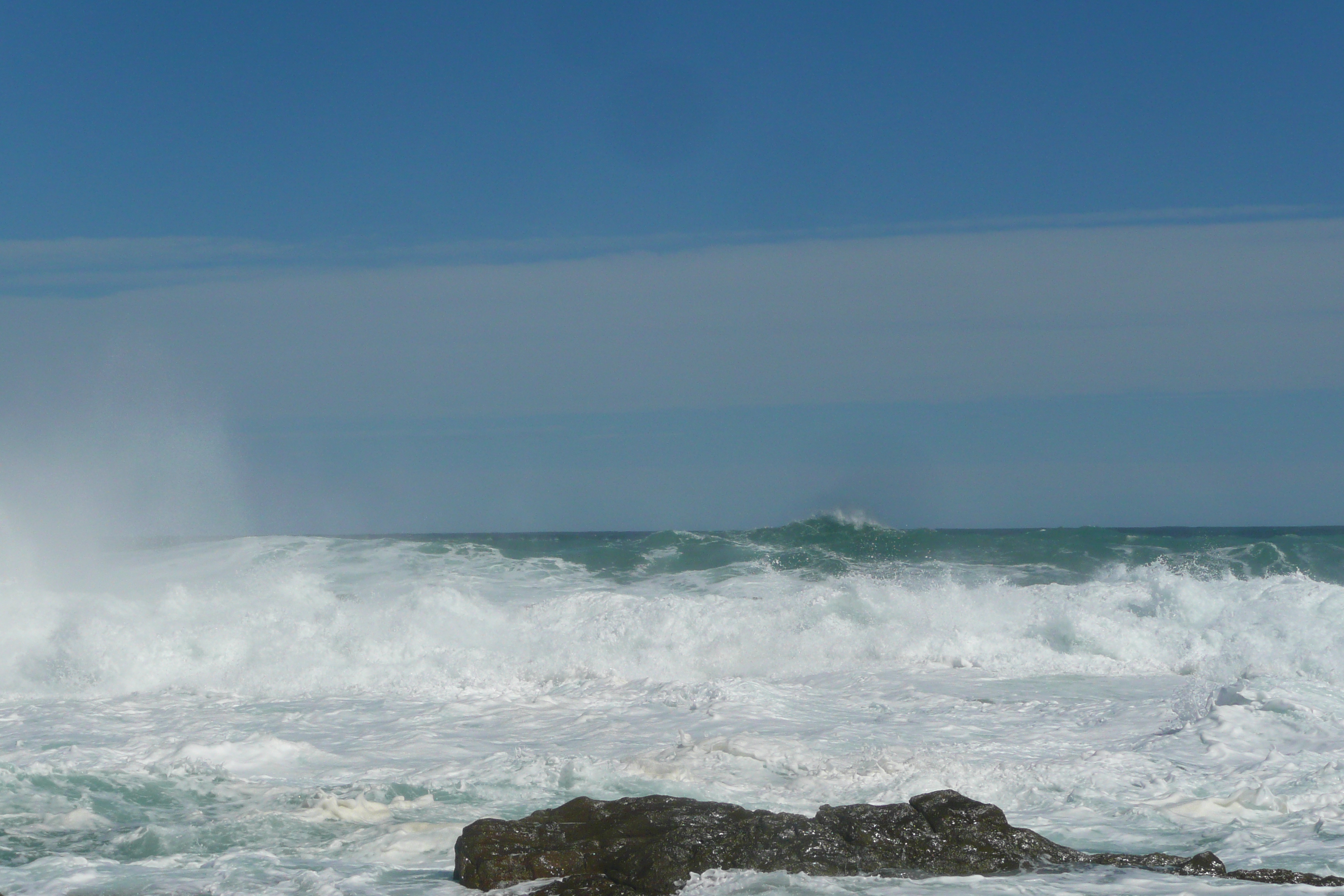 照片 南非(South Africa) 齐齐卡马国家公园(Tsitsikamma National Park) 2008-09 265