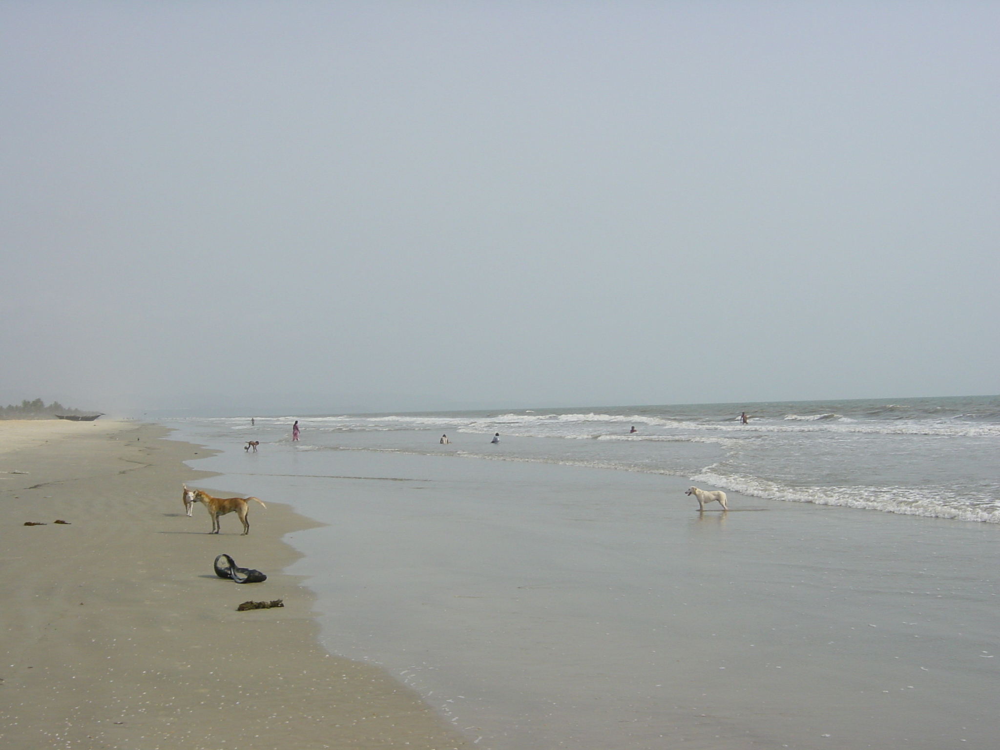 照片 印度(India) 果阿(Goa) 2003-05 1