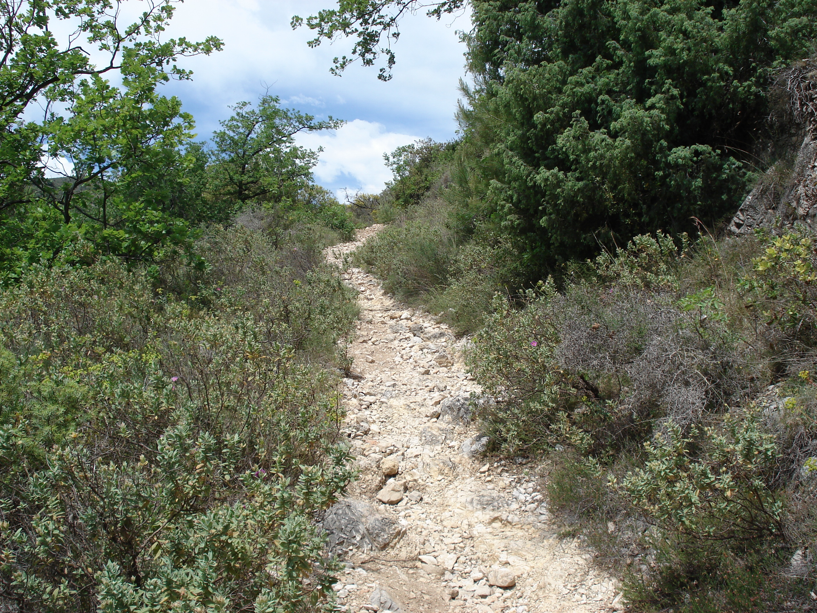 照片 法国(France) 旺斯(Vence) 巴乌山(Baou) 2006-06 96