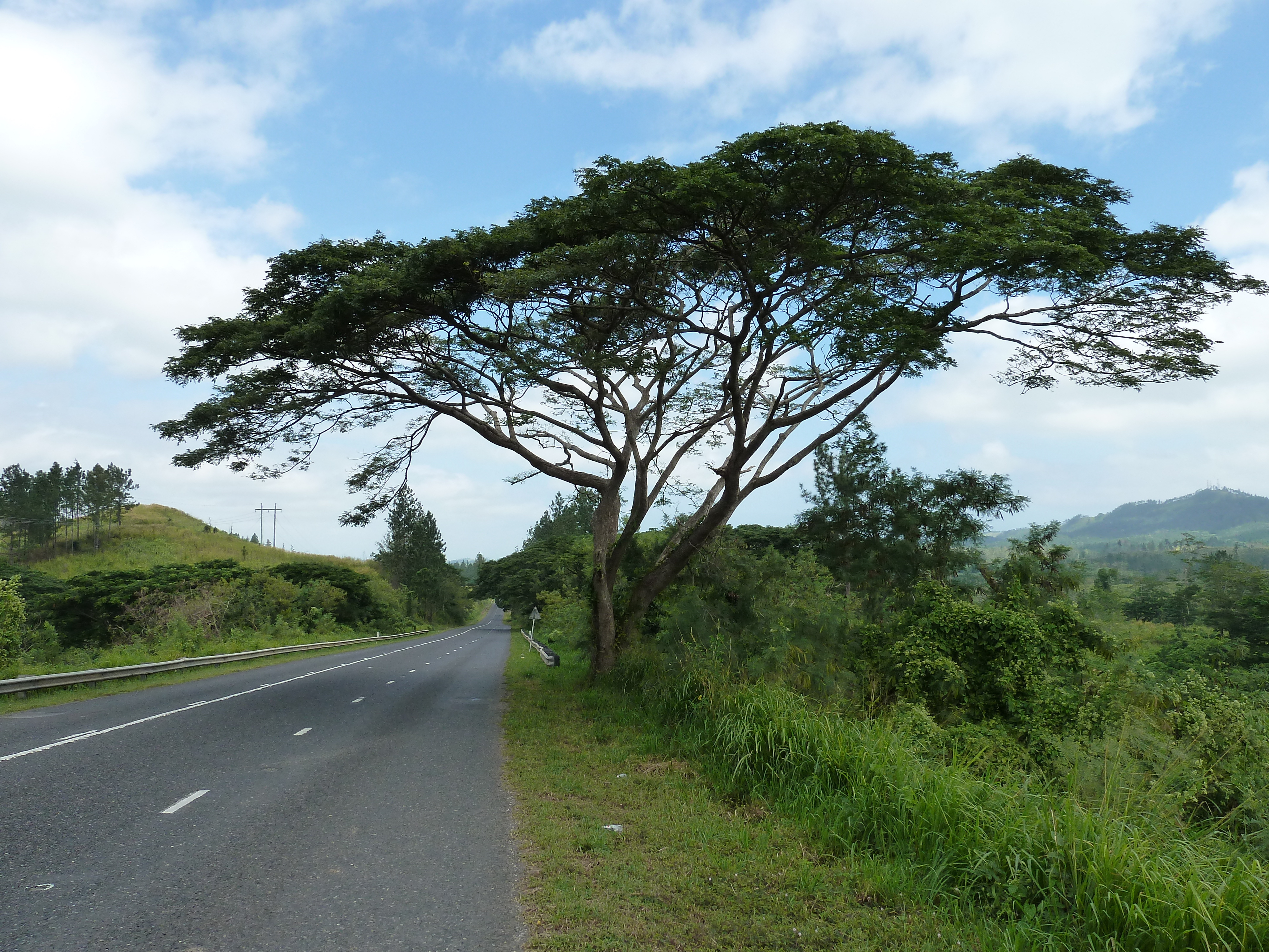 照片 斐济(Fiji) 楠迪至纳塔多拉公路(Nadi to Natadola road) 2010-05 20