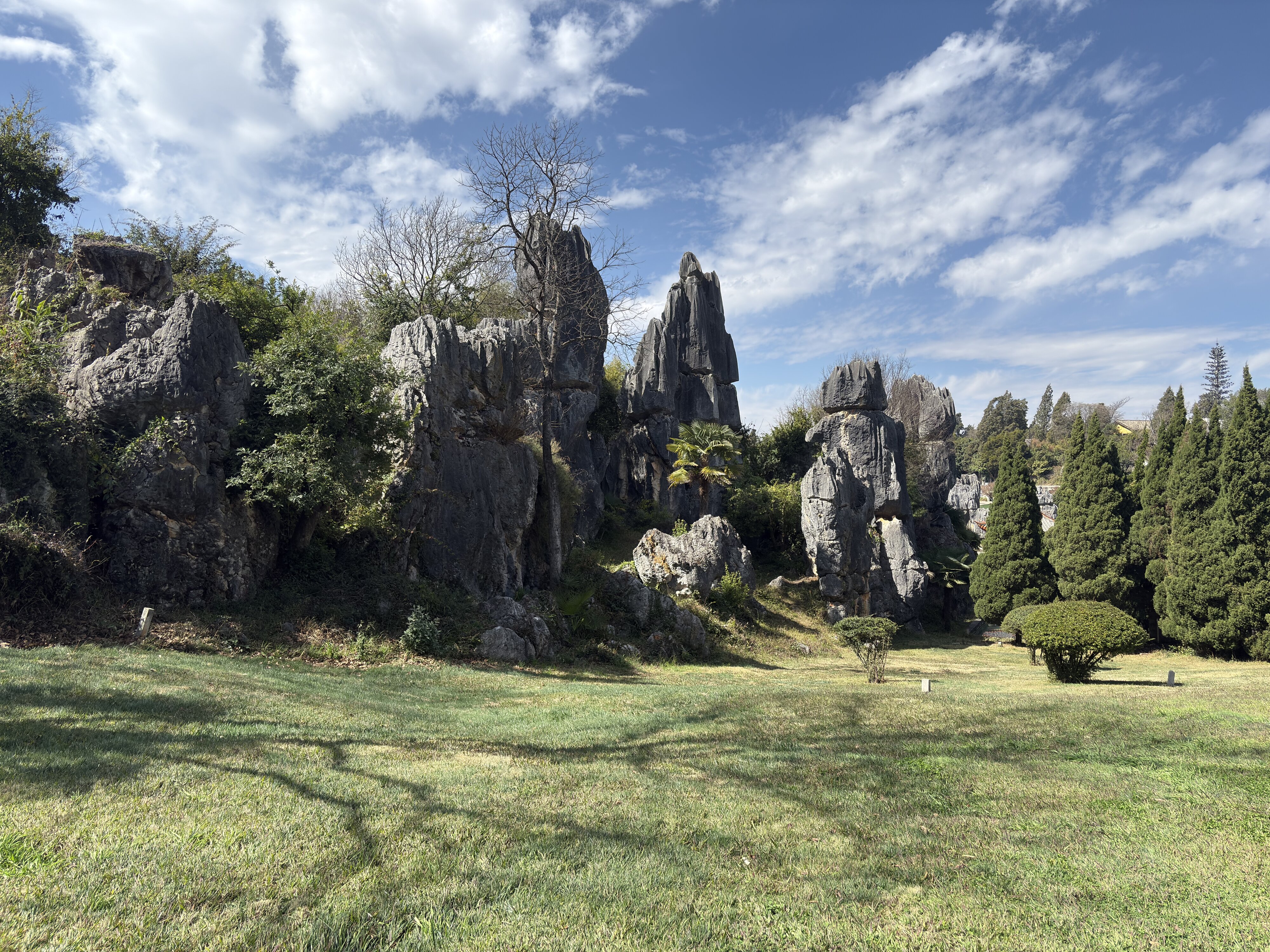 照片 中国(China) 石林(Shilin Stone Forest) 2026-01 136