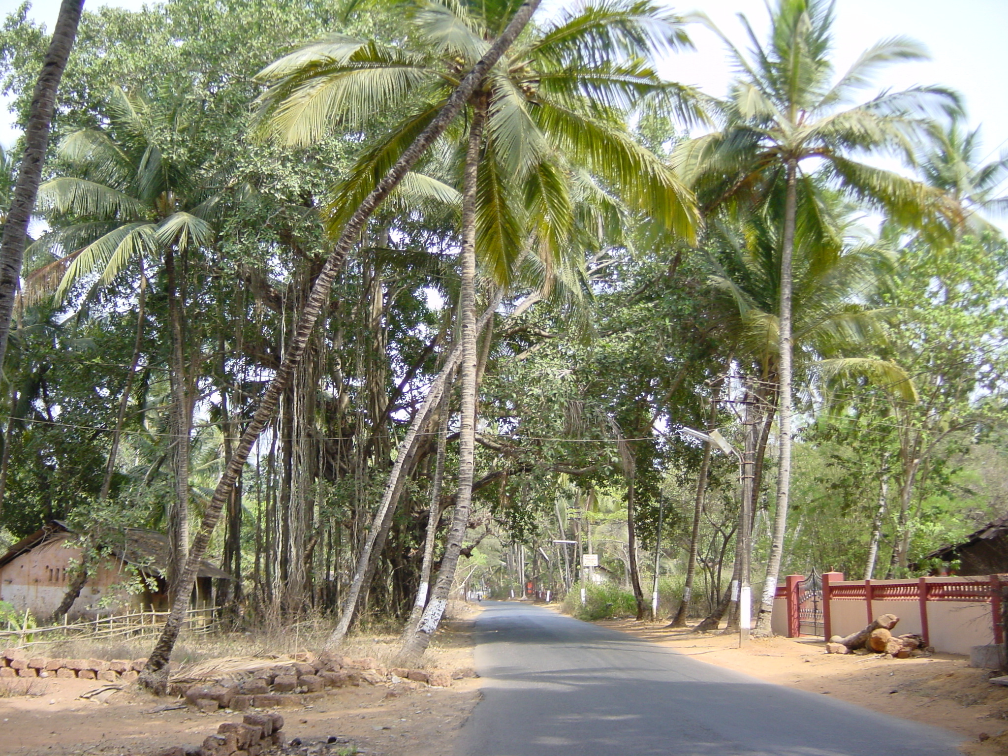 照片 印度(India) 果阿(Goa) 2003-05 13
