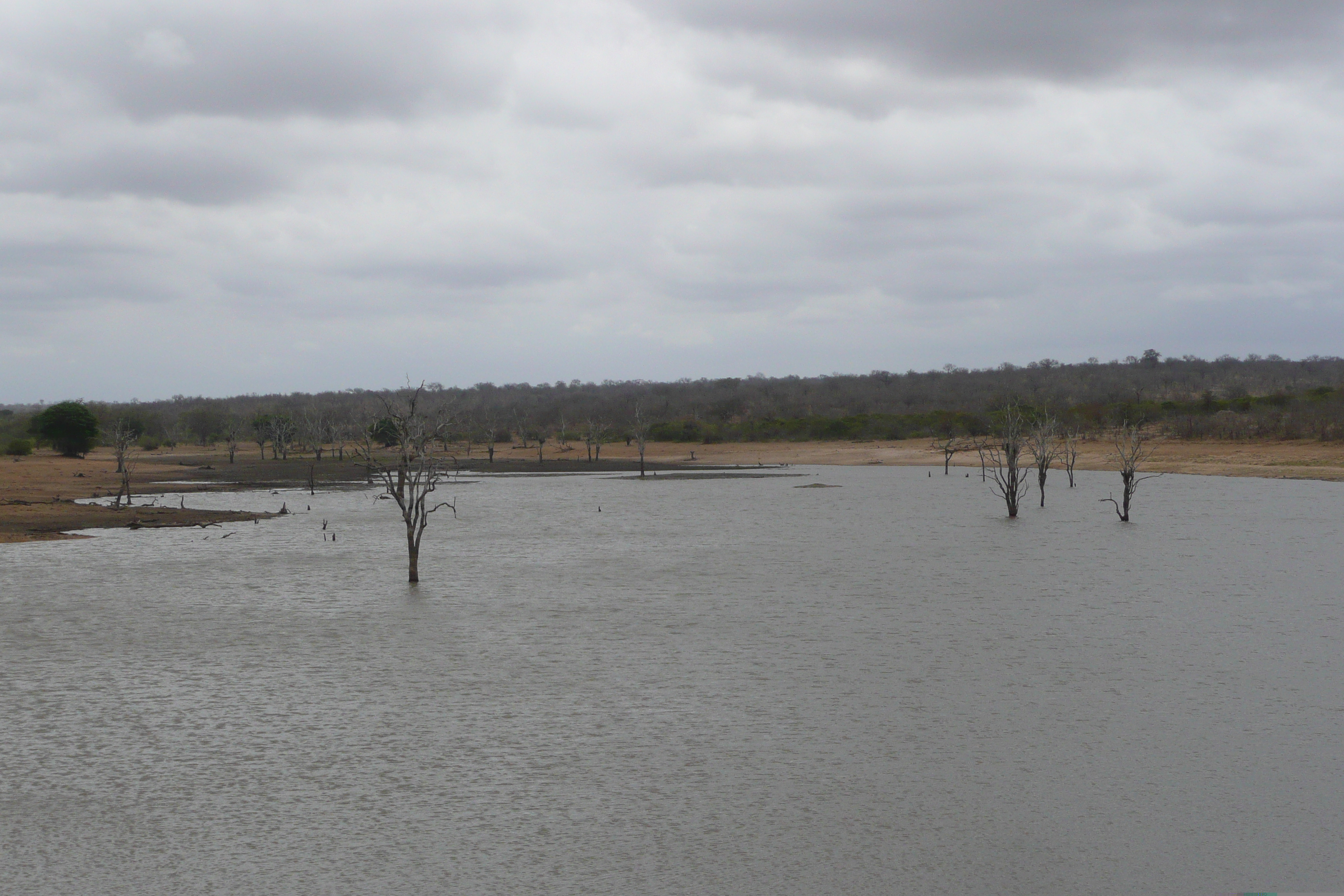 照片 南非(South Africa) 克鲁格国家公园(Kruger National Park) 姆蓬多(Mpondo) 2008-09 15