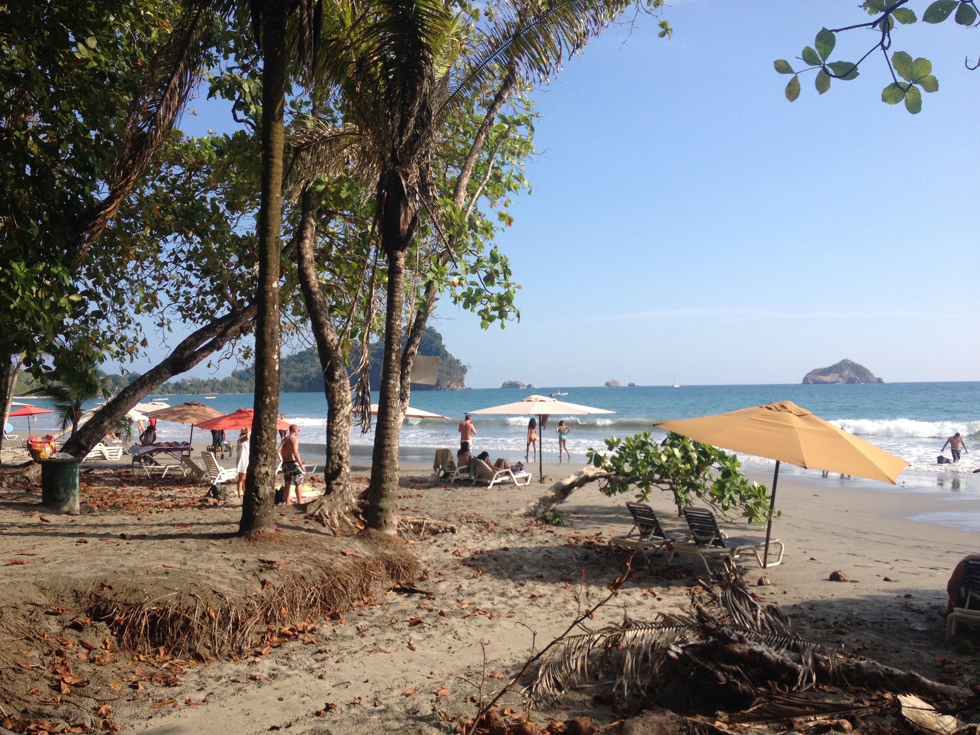 照片 哥斯达黎加(Costa Rica) 曼努埃尔安东尼奥(Manuel Antonio) 2015-03 269