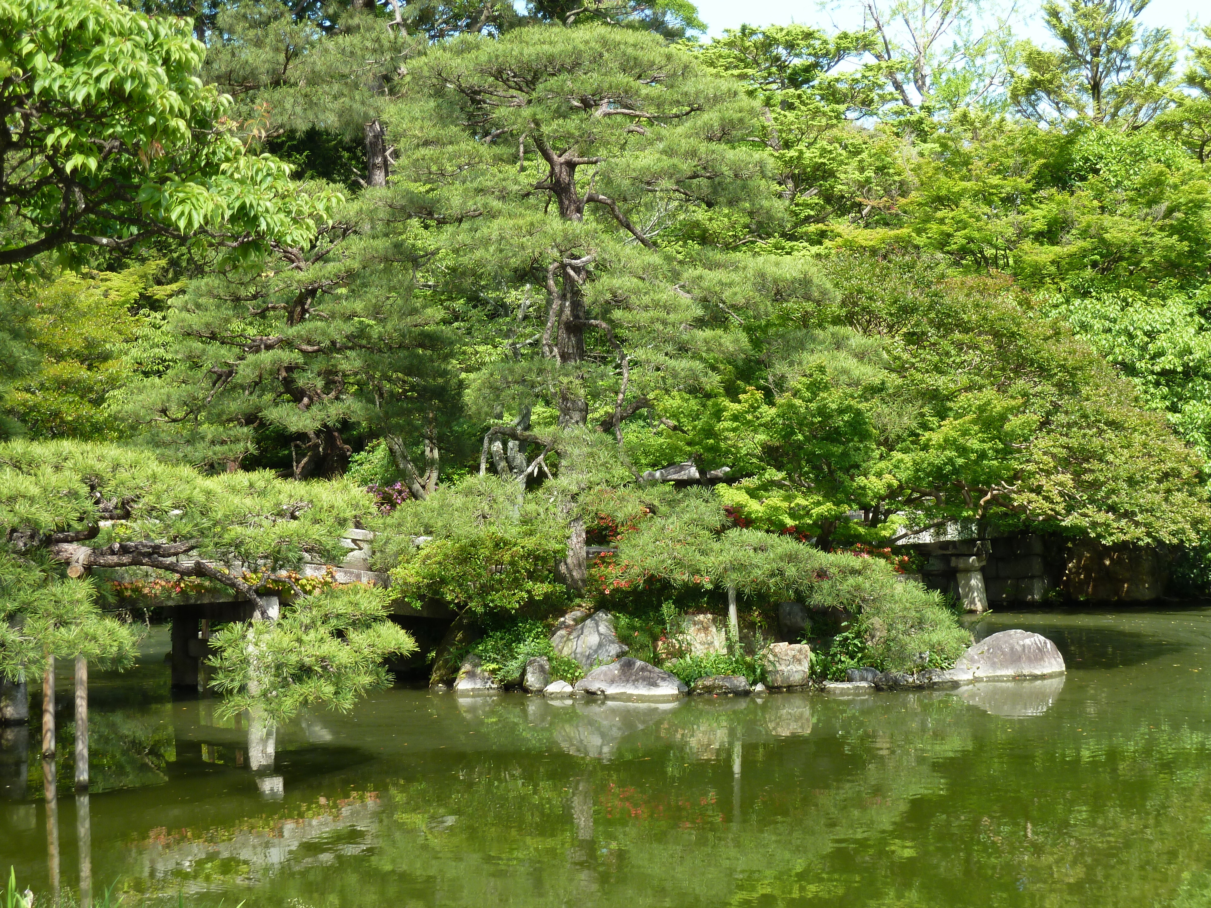 照片 日本(Japan) 京都(Kyoto) 京都御所(Kyoto Imperial Palace) 2010-06 60