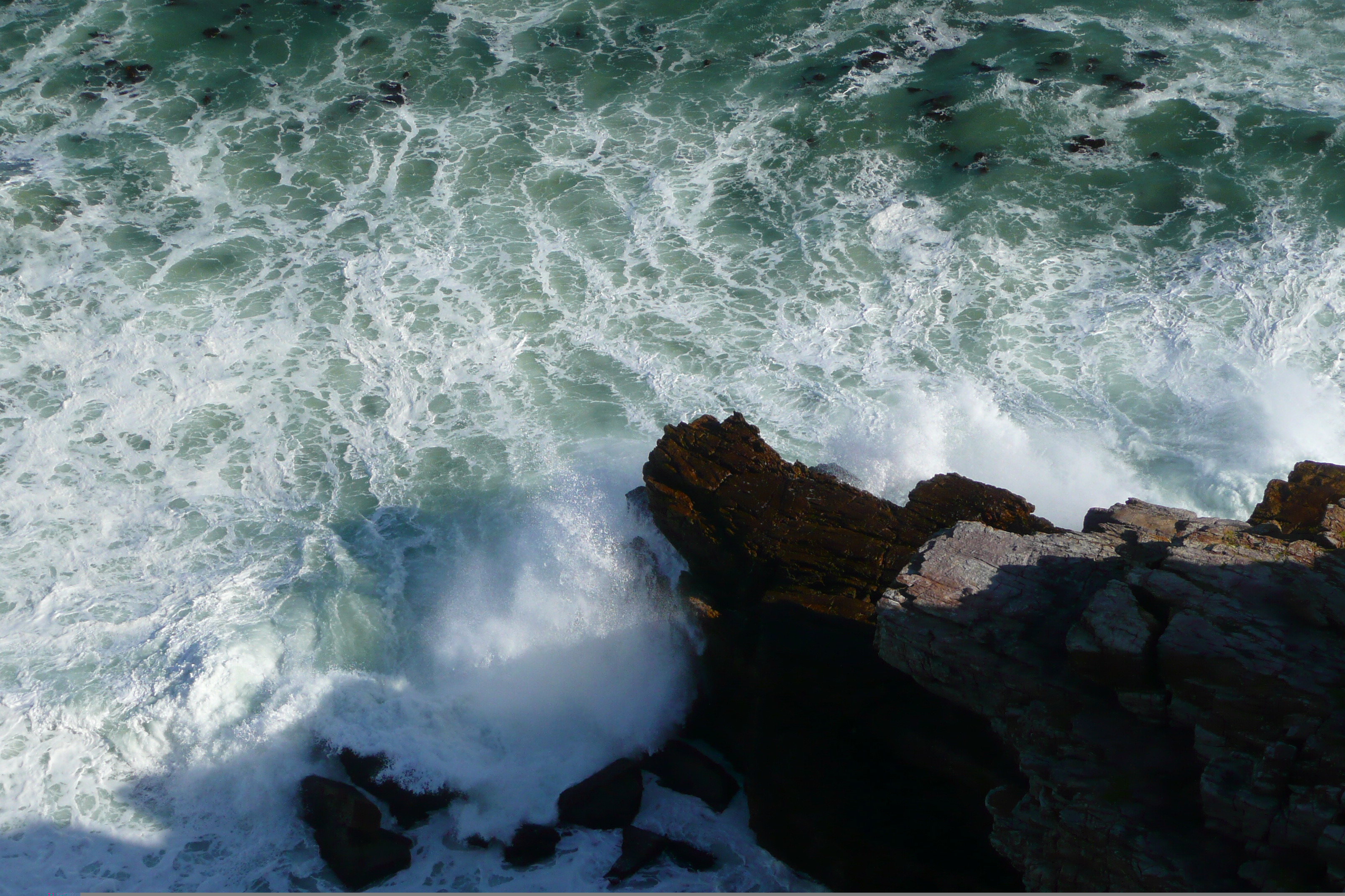 照片 南非(South Africa) 好望角(Cape of Good Hope) 开普角(Cape Point) 2008-09 12