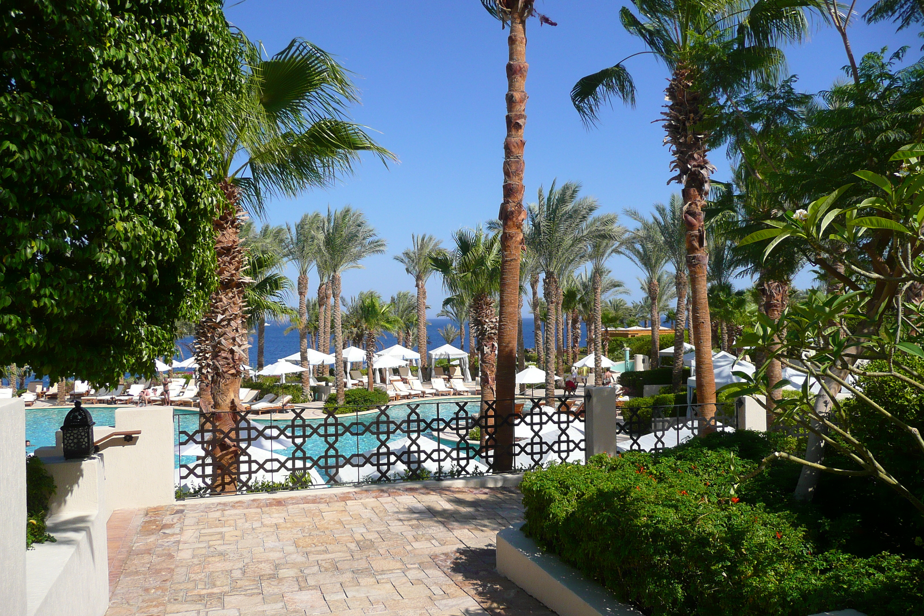 照片 埃及(Egypt) 沙姆沙伊赫(Sharm el Sheikh) 四季酒店(Four Seasons Hotel) 四季酒店绿洲泳池(Four Seasons Al Waha Pool) 2008-06 36
