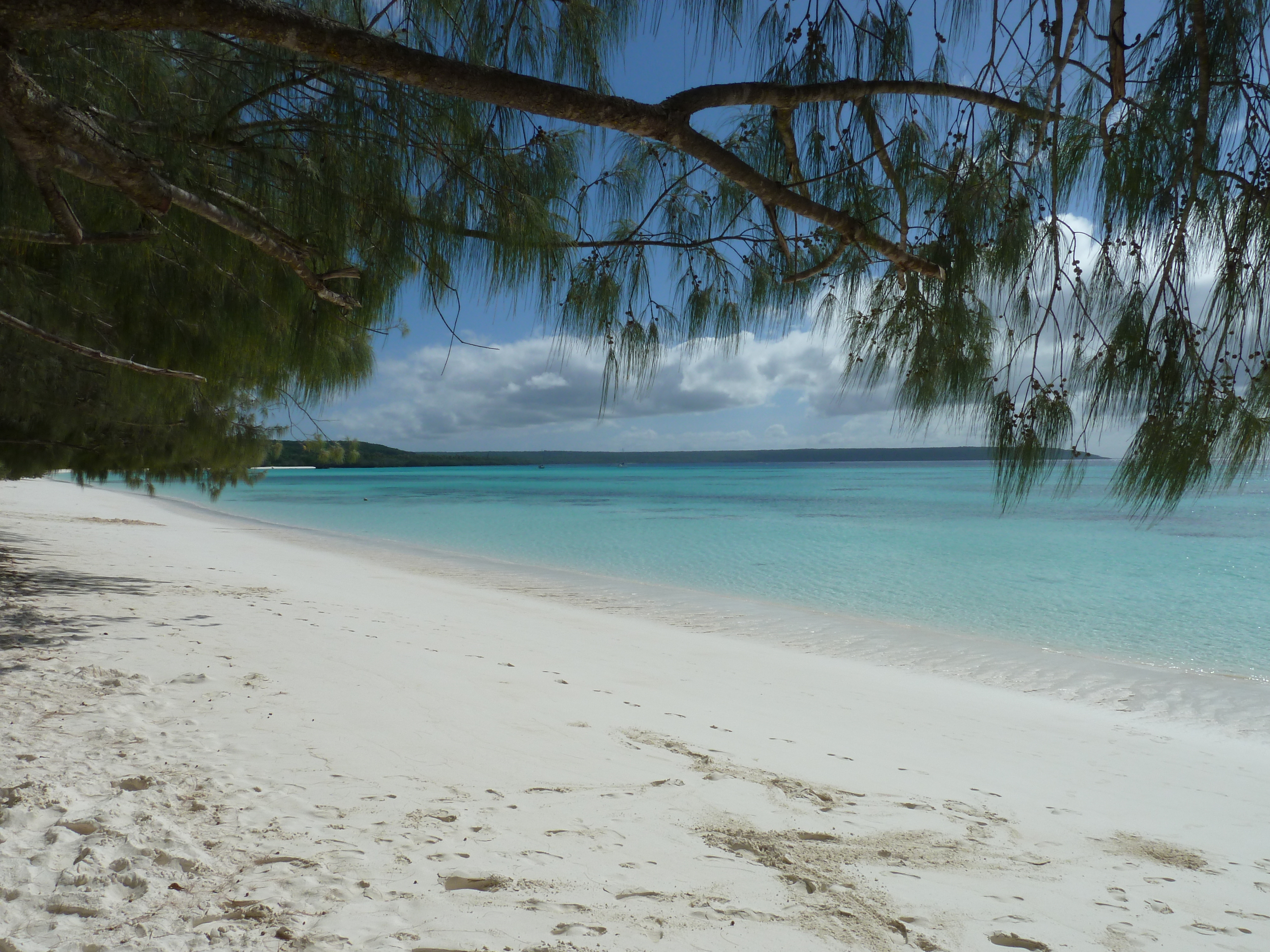 照片 新喀里多尼亚(New Caledonia) 2010-05 75