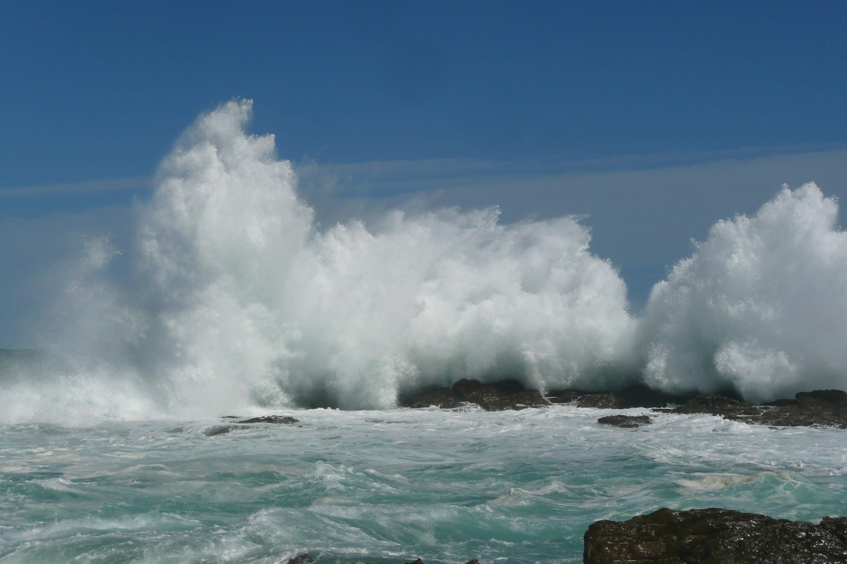照片 南非(South Africa) 齐齐卡马国家公园(Tsitsikamma National Park) 2008-09 196