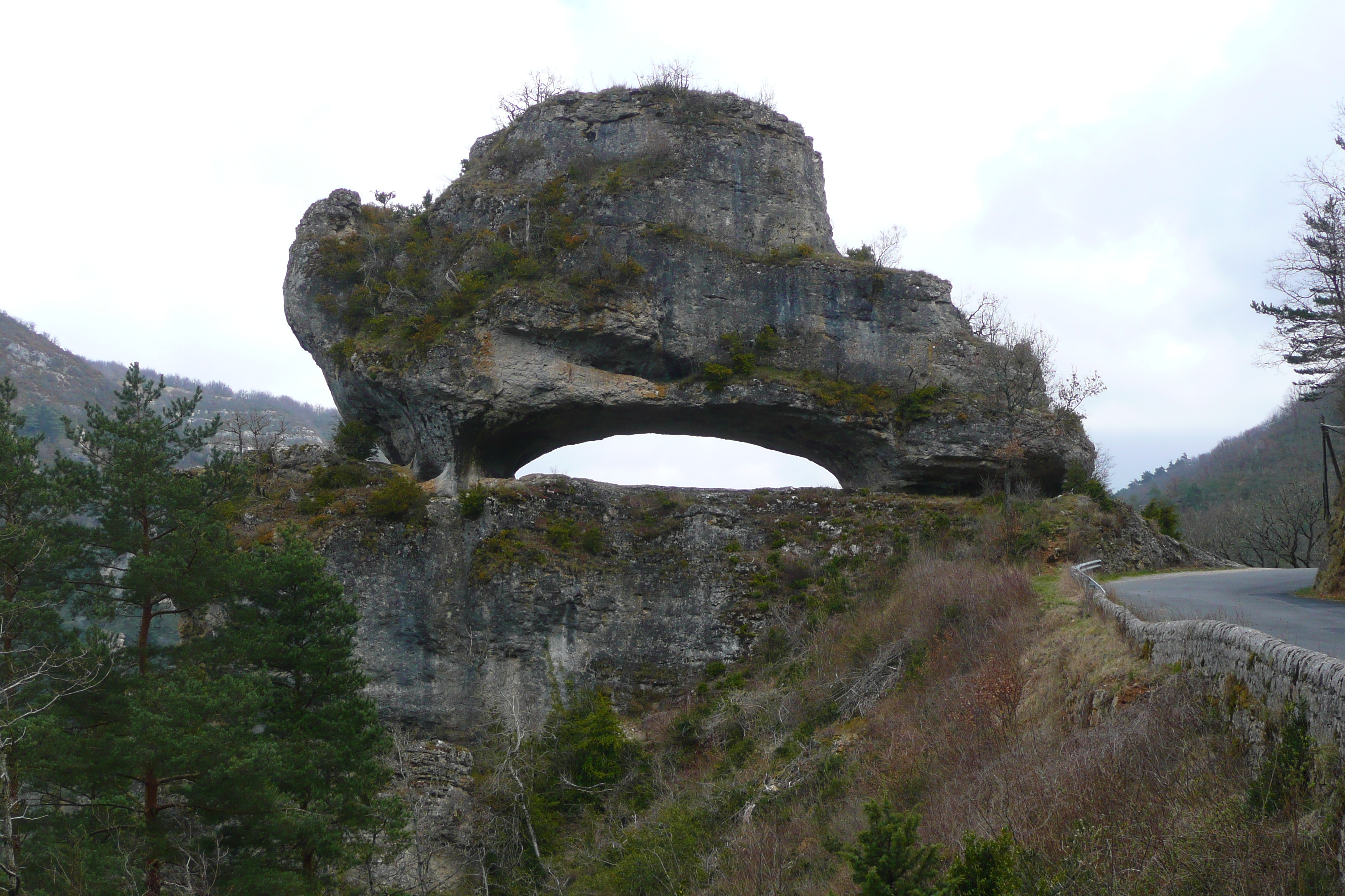 照片 法国(France) 奥布拉克(L'Aubrac) 2008-04 13