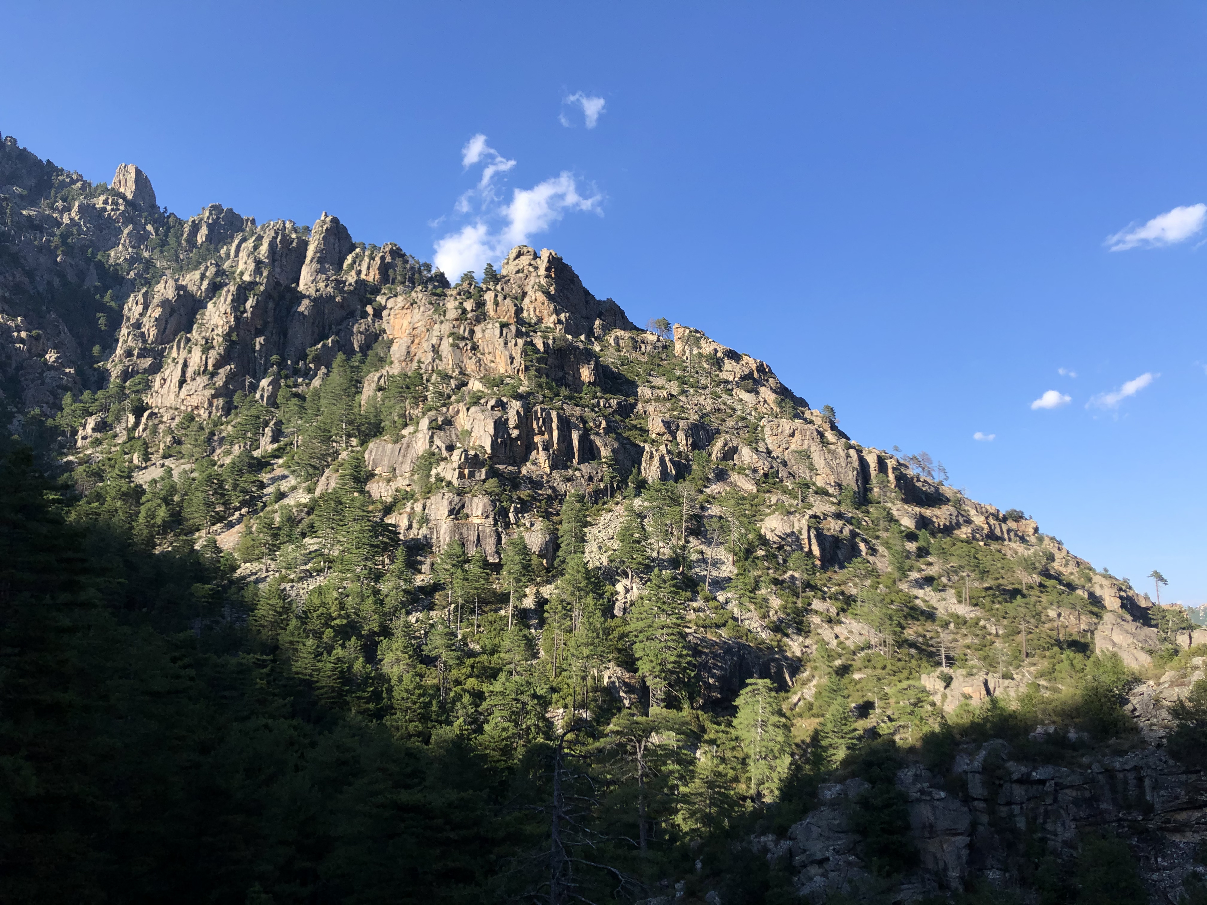 照片 法国(France) 科西嘉岛(Corsica) 雷斯托尼卡山谷(La Restonica) 2020-07 95