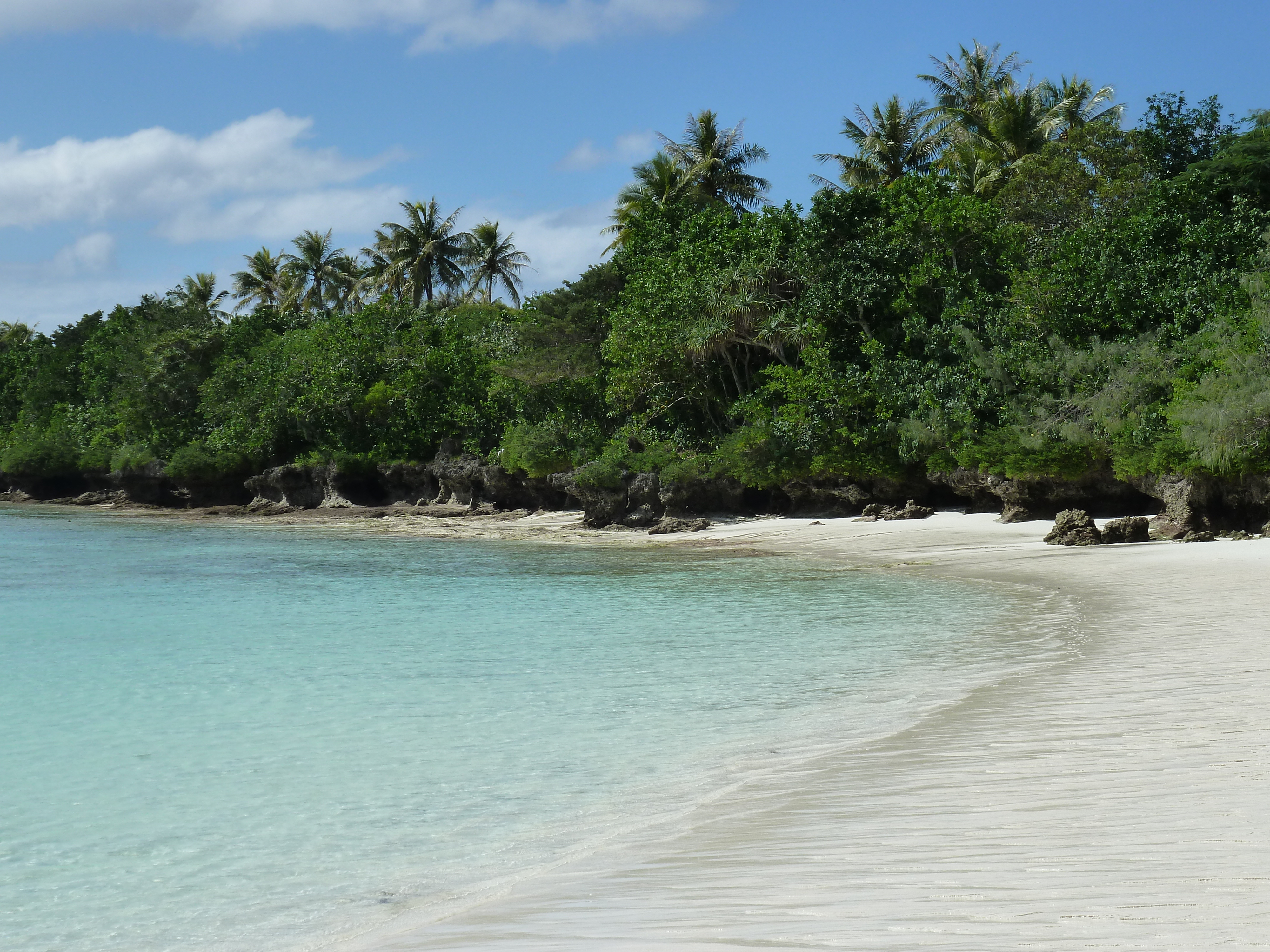照片 新喀里多尼亚(New Caledonia) 利富岛(Lifou) 卢恩戈尼海滩(Luengoni Beach) 2010-05 9