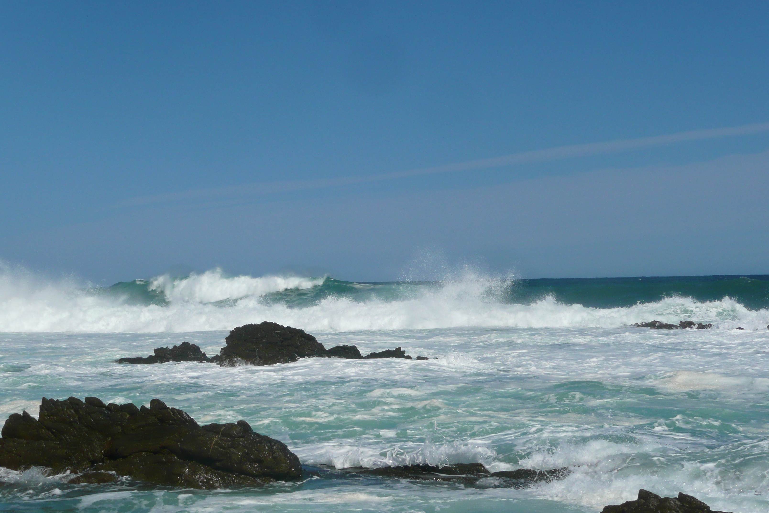 照片 南非(South Africa) 齐齐卡马国家公园(Tsitsikamma National Park) 2008-09 293