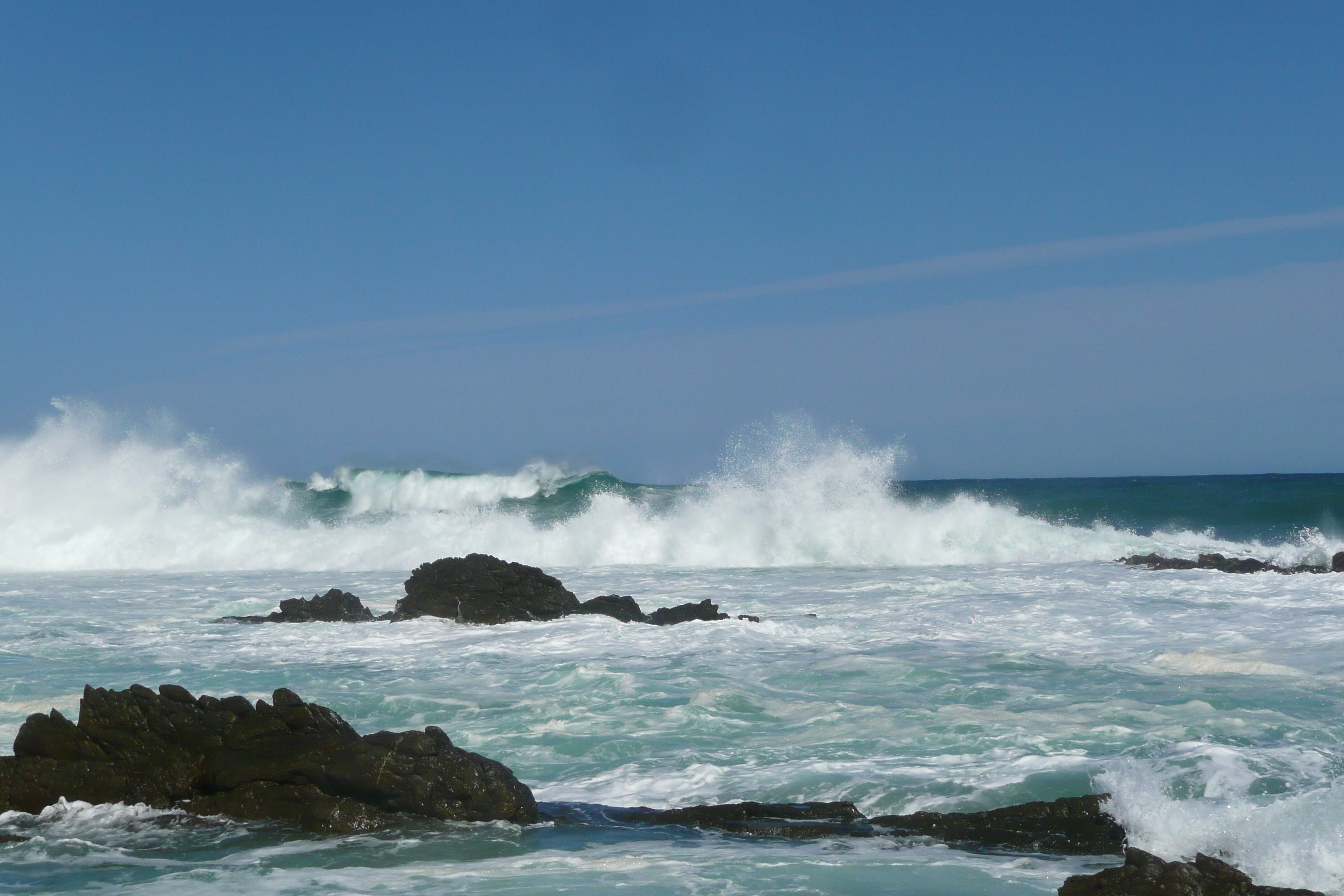 照片 南非(South Africa) 齐齐卡马国家公园(Tsitsikamma National Park) 2008-09 160