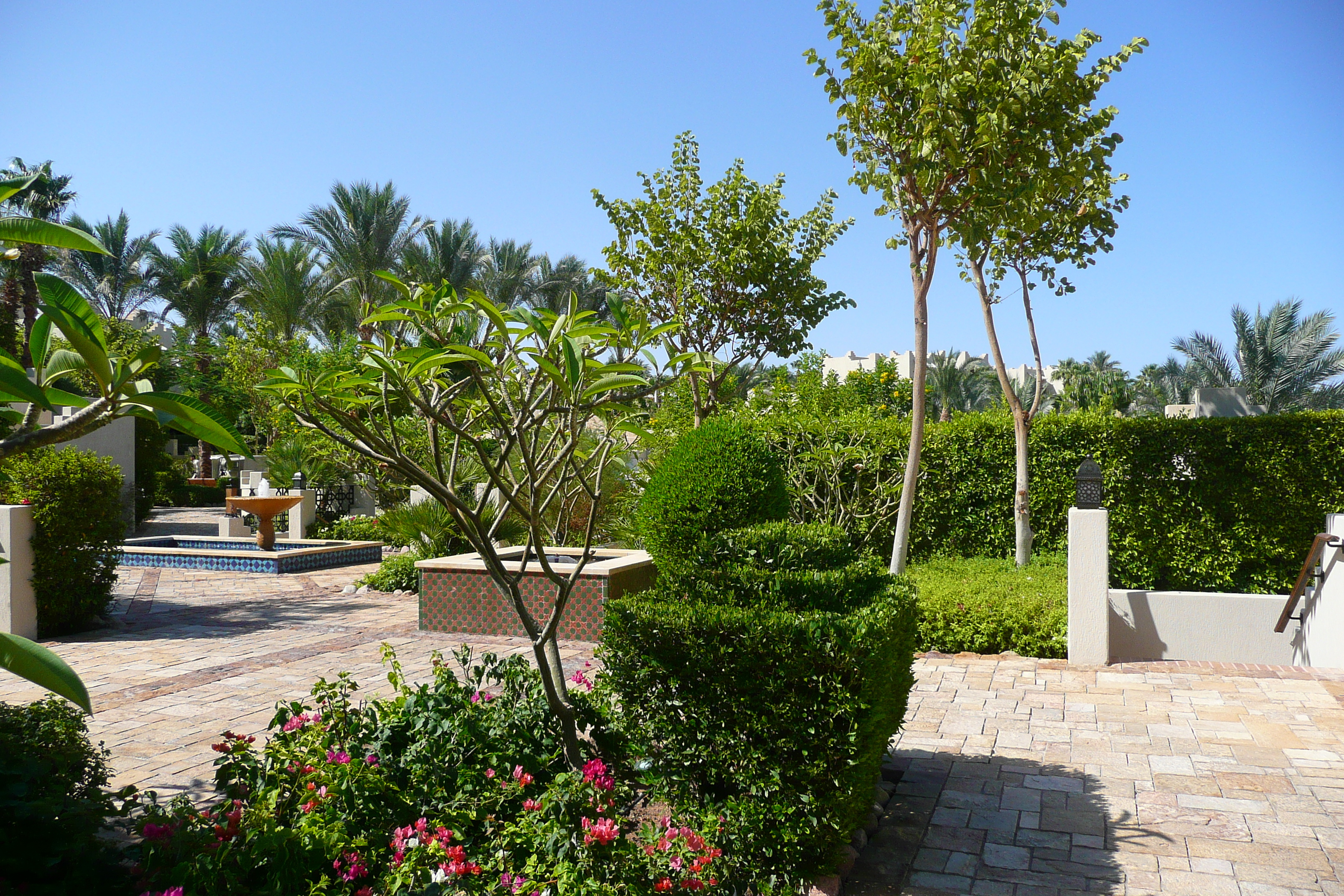 照片 埃及(Egypt) 沙姆沙伊赫(Sharm el Sheikh) 四季酒店(Four Seasons Hotel) 2008-06 65