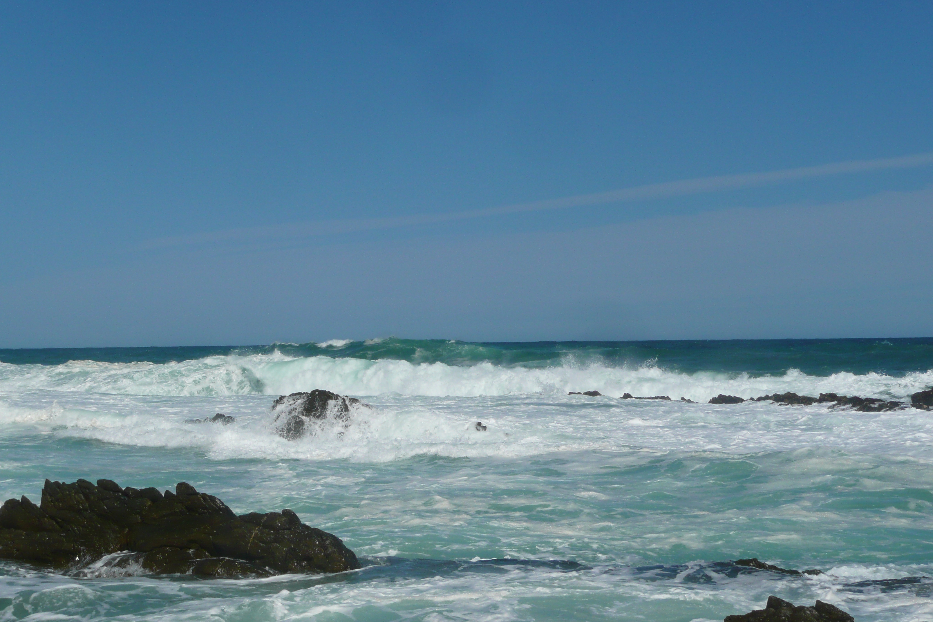 照片 南非(South Africa) 齐齐卡马国家公园(Tsitsikamma National Park) 2008-09 181