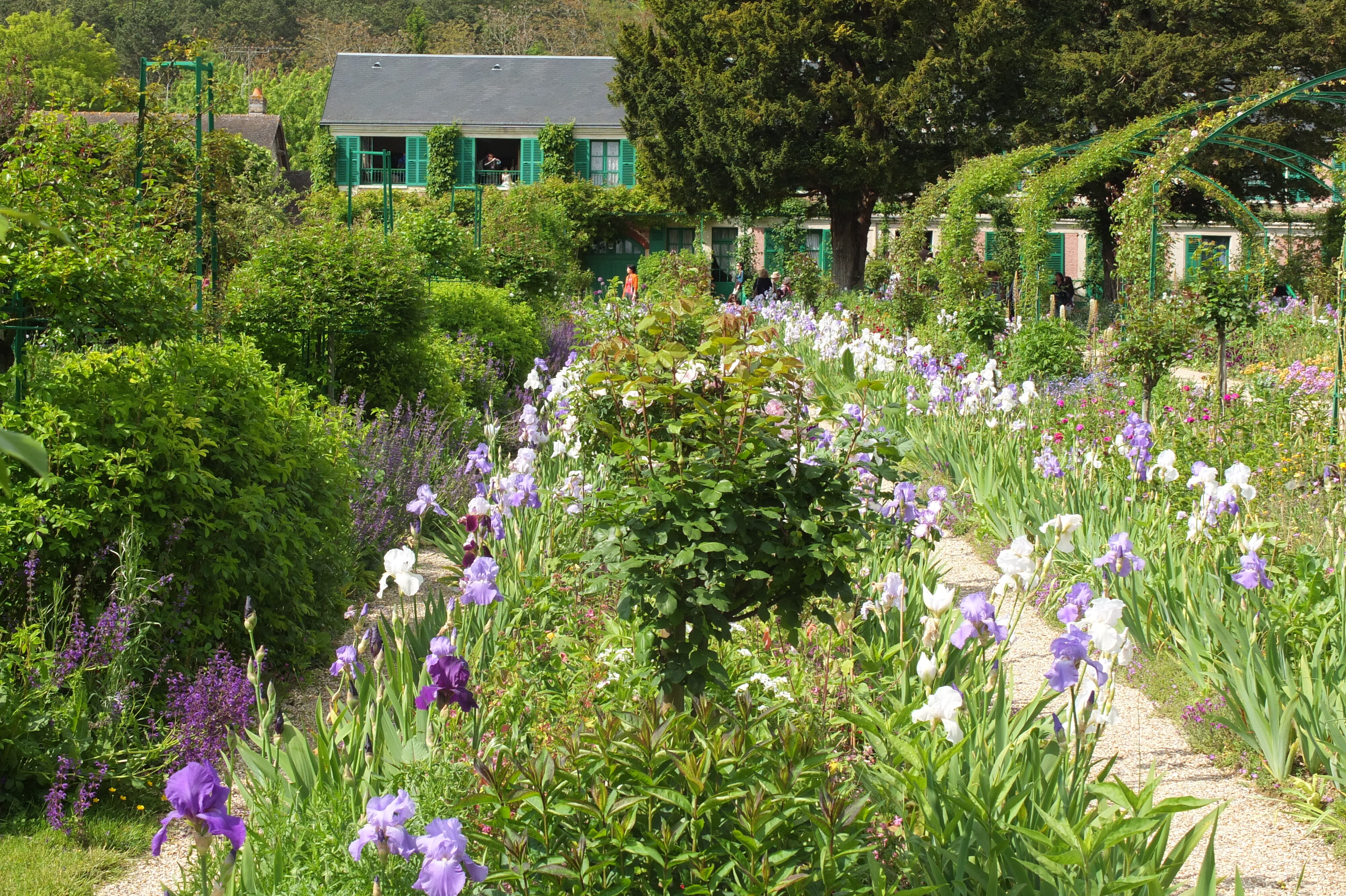 照片 法国(France) 吉维尼(Giverny) 2013-06 83