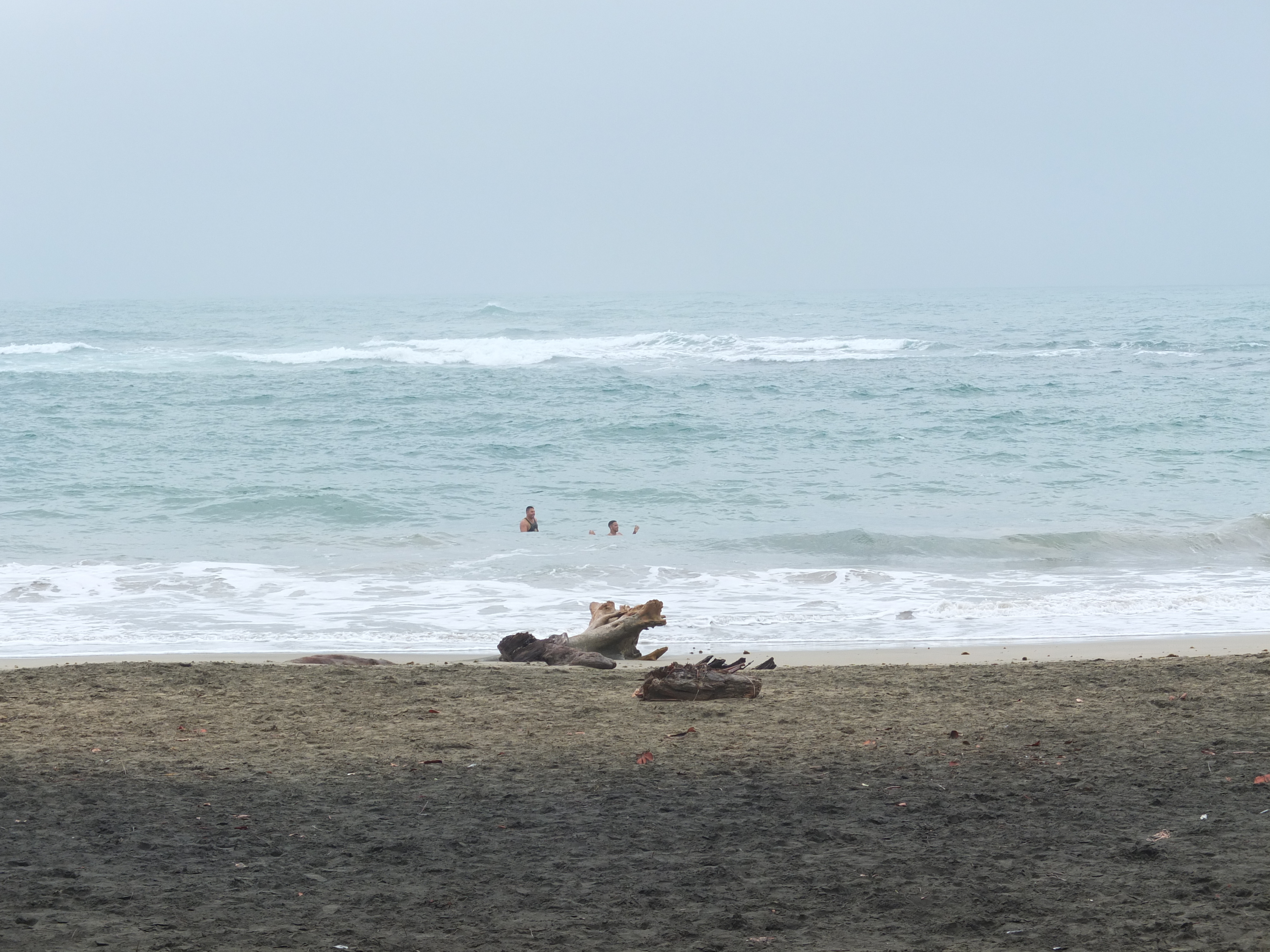 照片 哥斯达黎加(Costa Rica) 塔拉曼卡旧港(Puerto Viejo de Talamanca) 2015-03 0