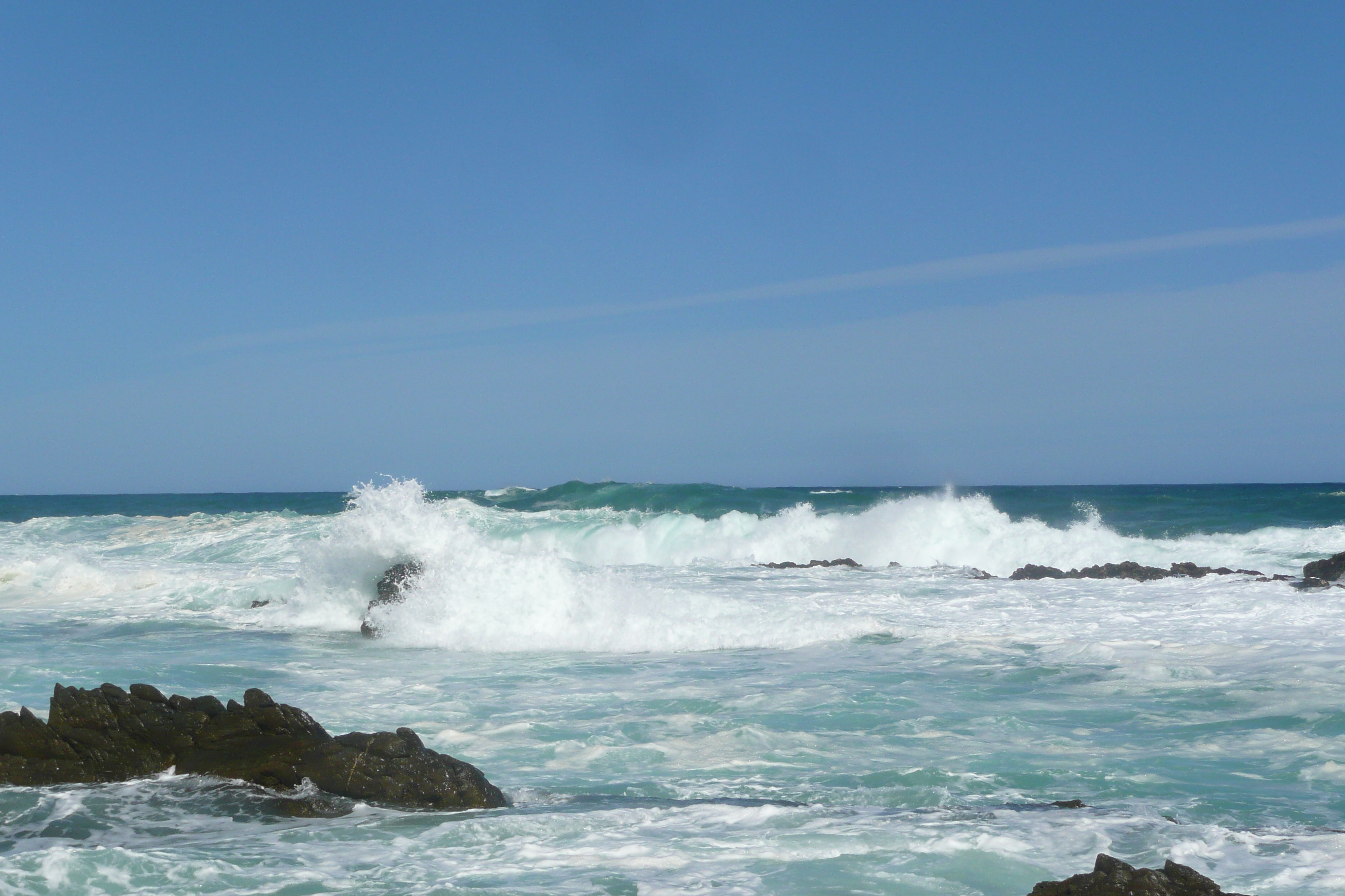 照片 南非(South Africa) 齐齐卡马国家公园(Tsitsikamma National Park) 2008-09 218