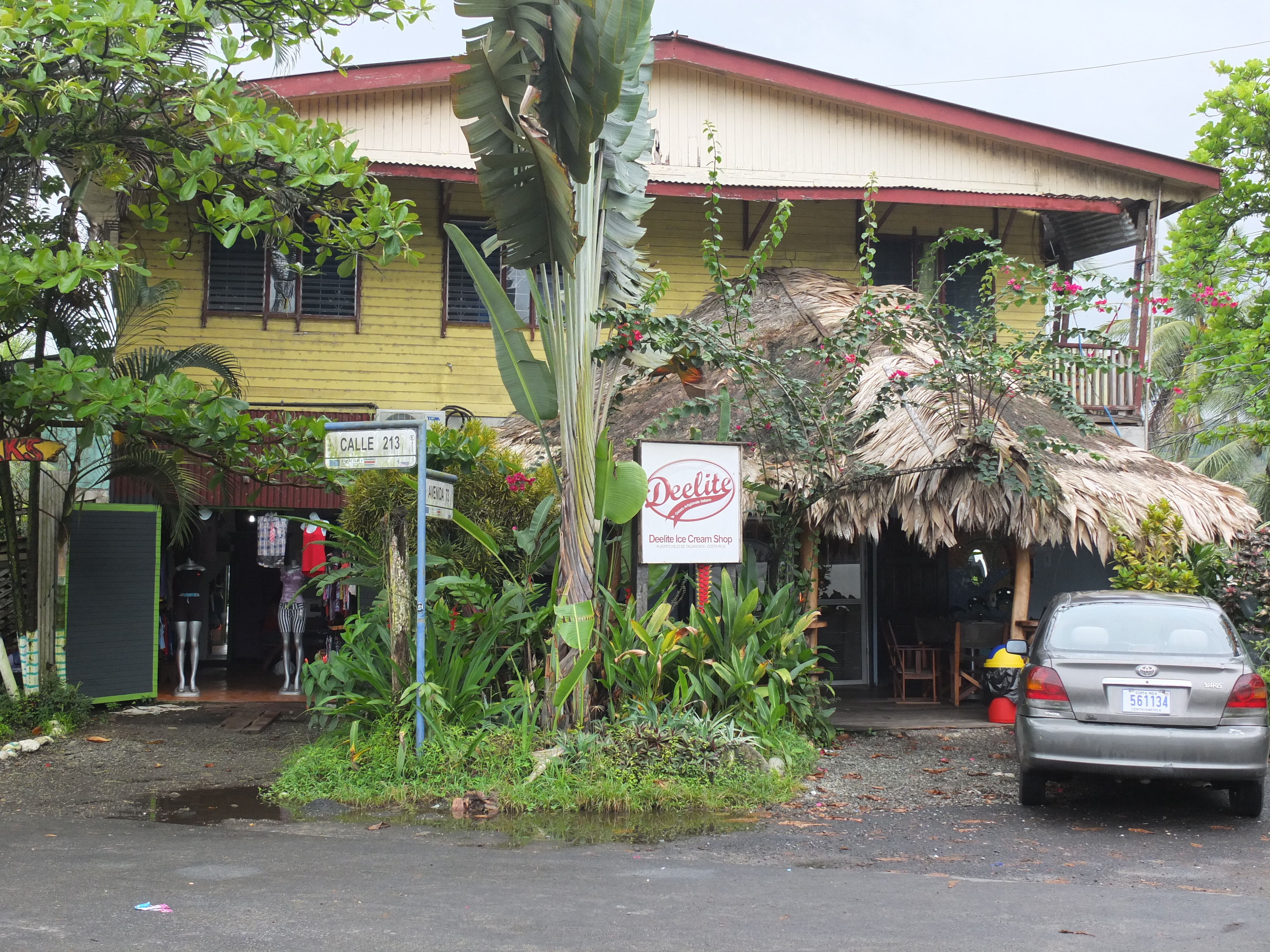 照片 哥斯达黎加(Costa Rica) 塔拉曼卡旧港(Puerto Viejo de Talamanca) 2015-03 139