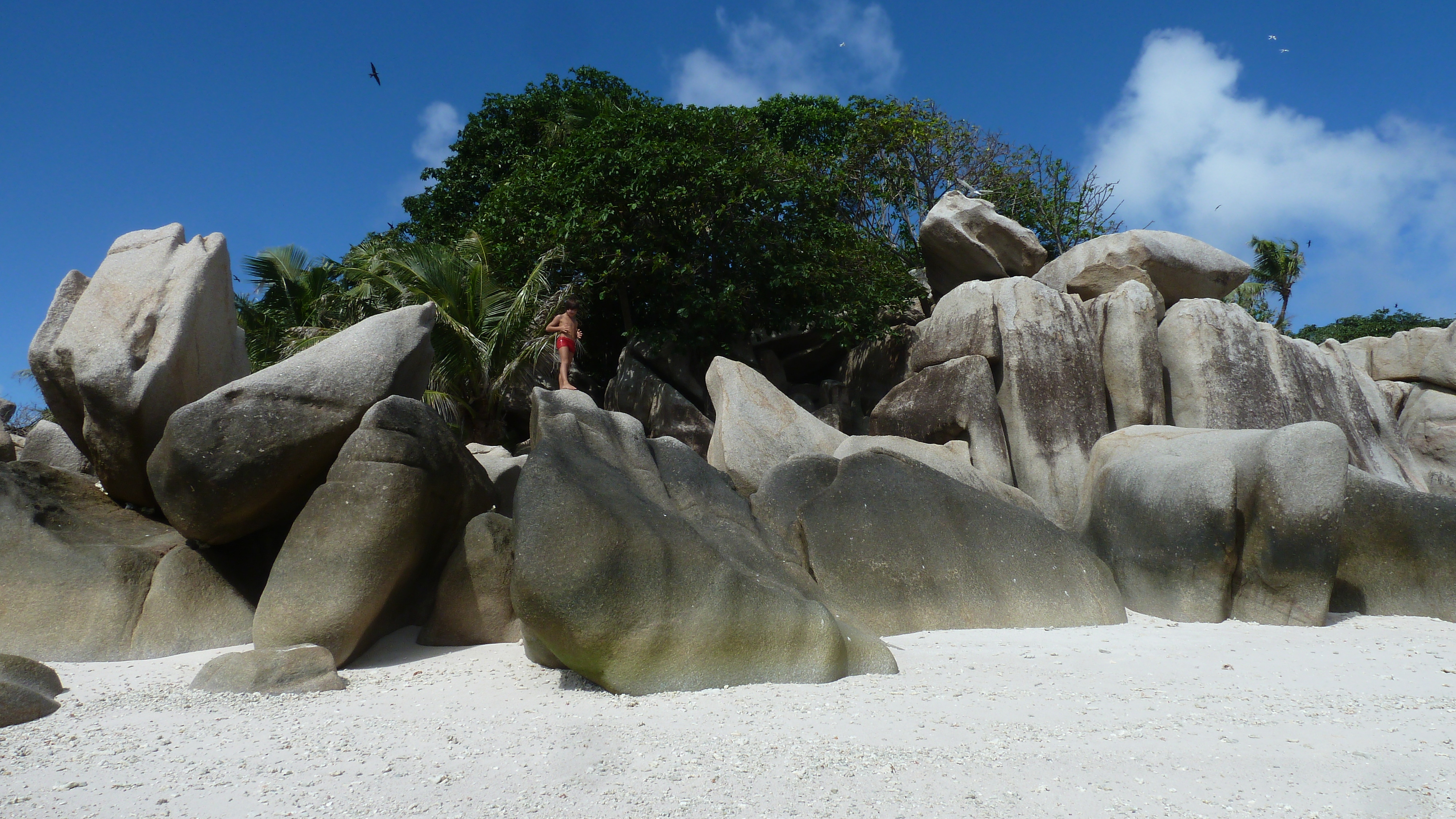 照片 塞舌尔(Seychelles) 椰子岛(Coco Island) 2011-10 22