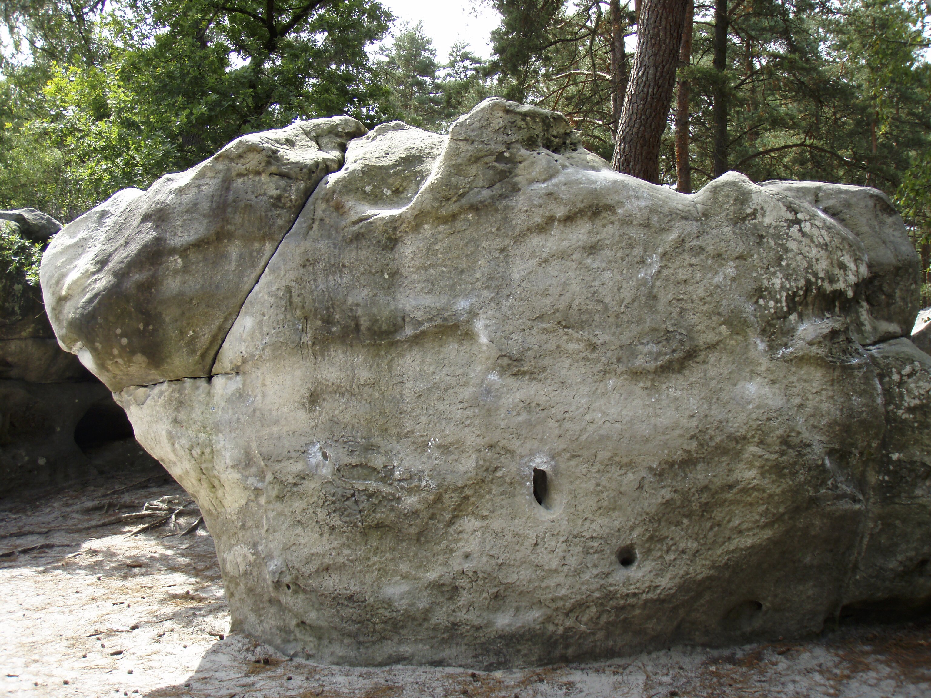 照片 法国(France) 枫丹白露(Fontainebleau) 25丘步道(Circuit des 25 bosses) 2007-08 139