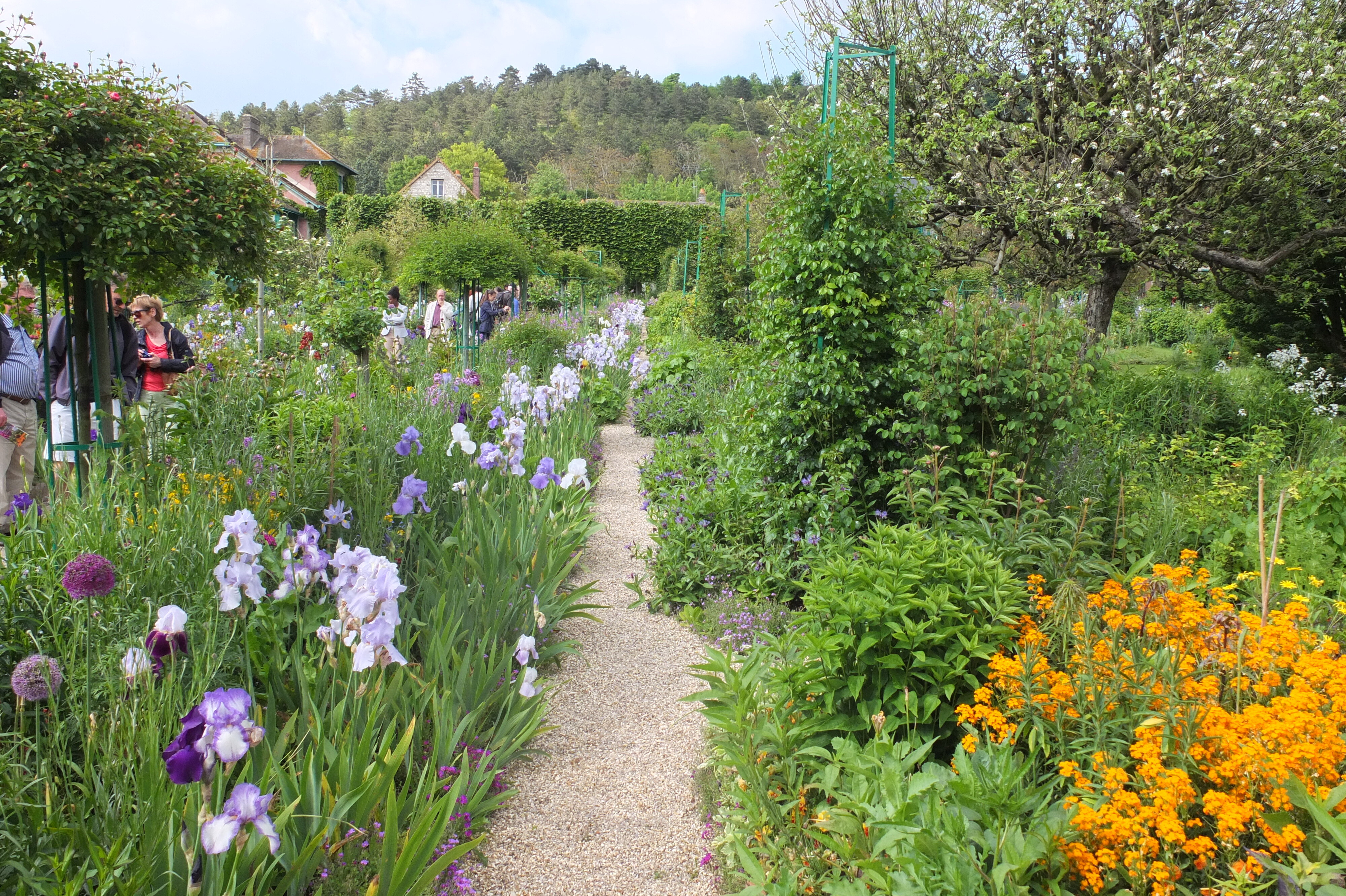 照片 法国(France) 吉维尼(Giverny) 2013-06 182