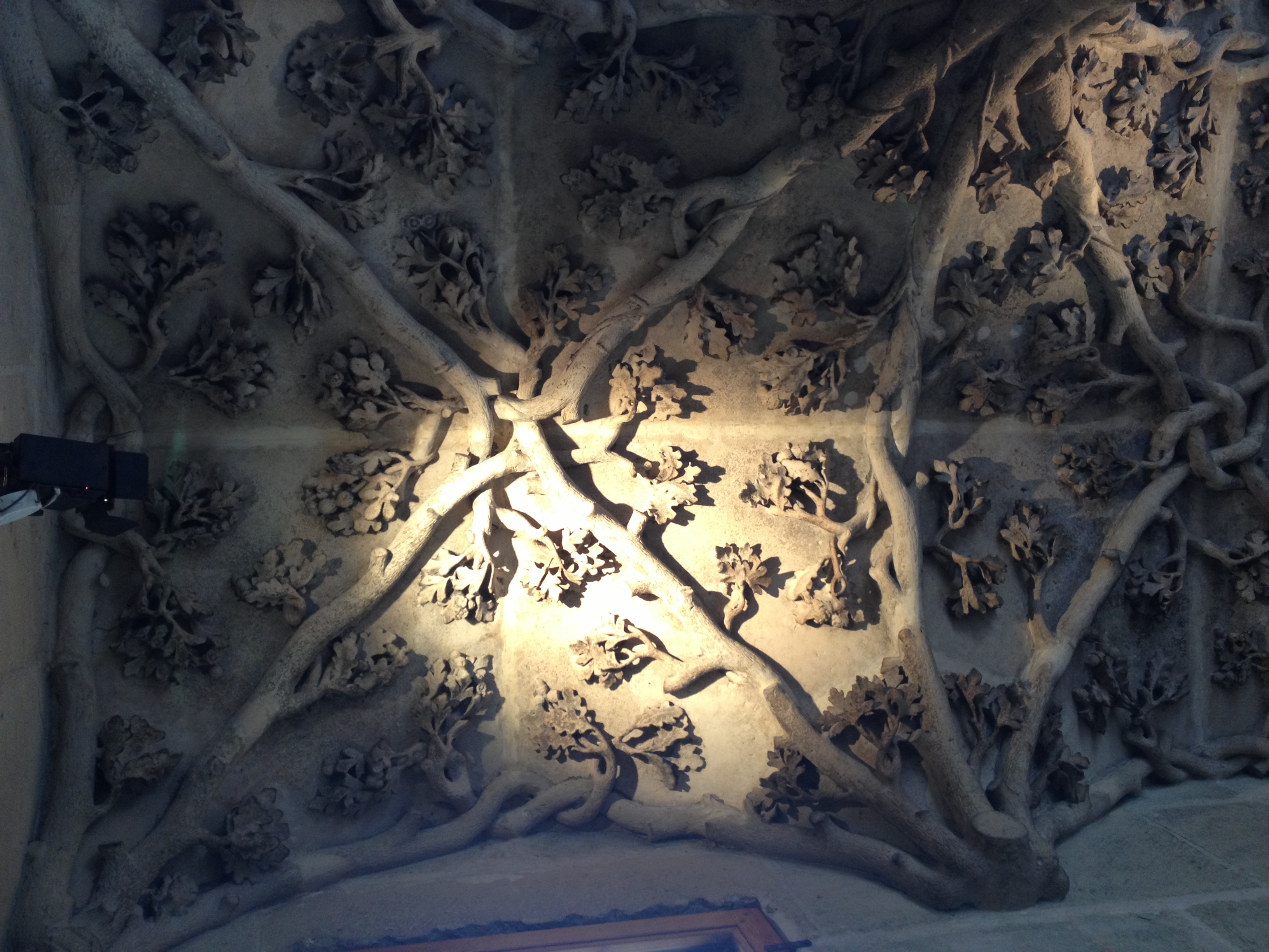 照片 法国(France) 巴黎(Paris) 勃艮第公馆(Hotel de Bourgogne) 2013-06 29