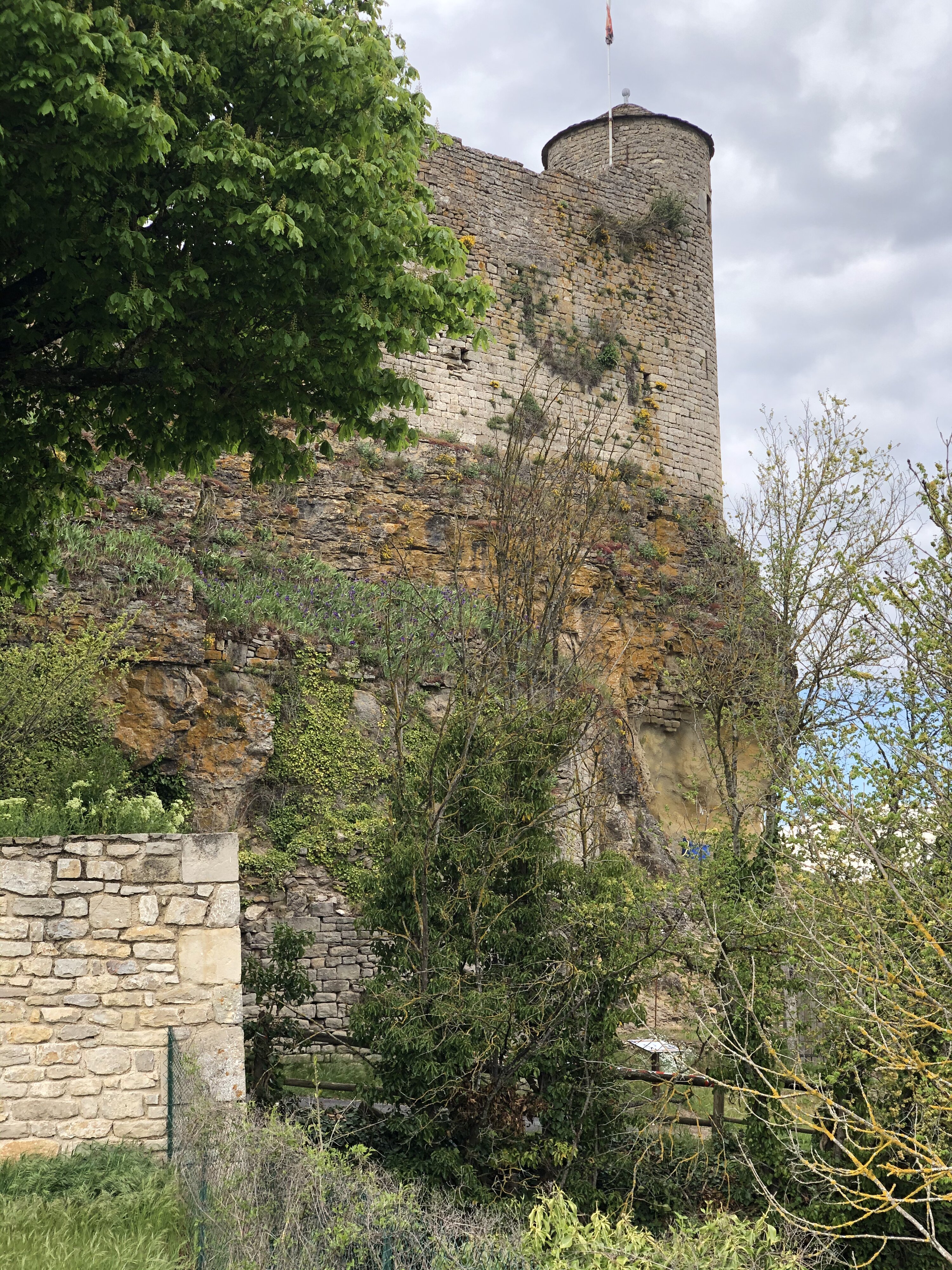照片 法国(France) 塞维拉克勒沙托(Severac le Chateau) 2021-05 5