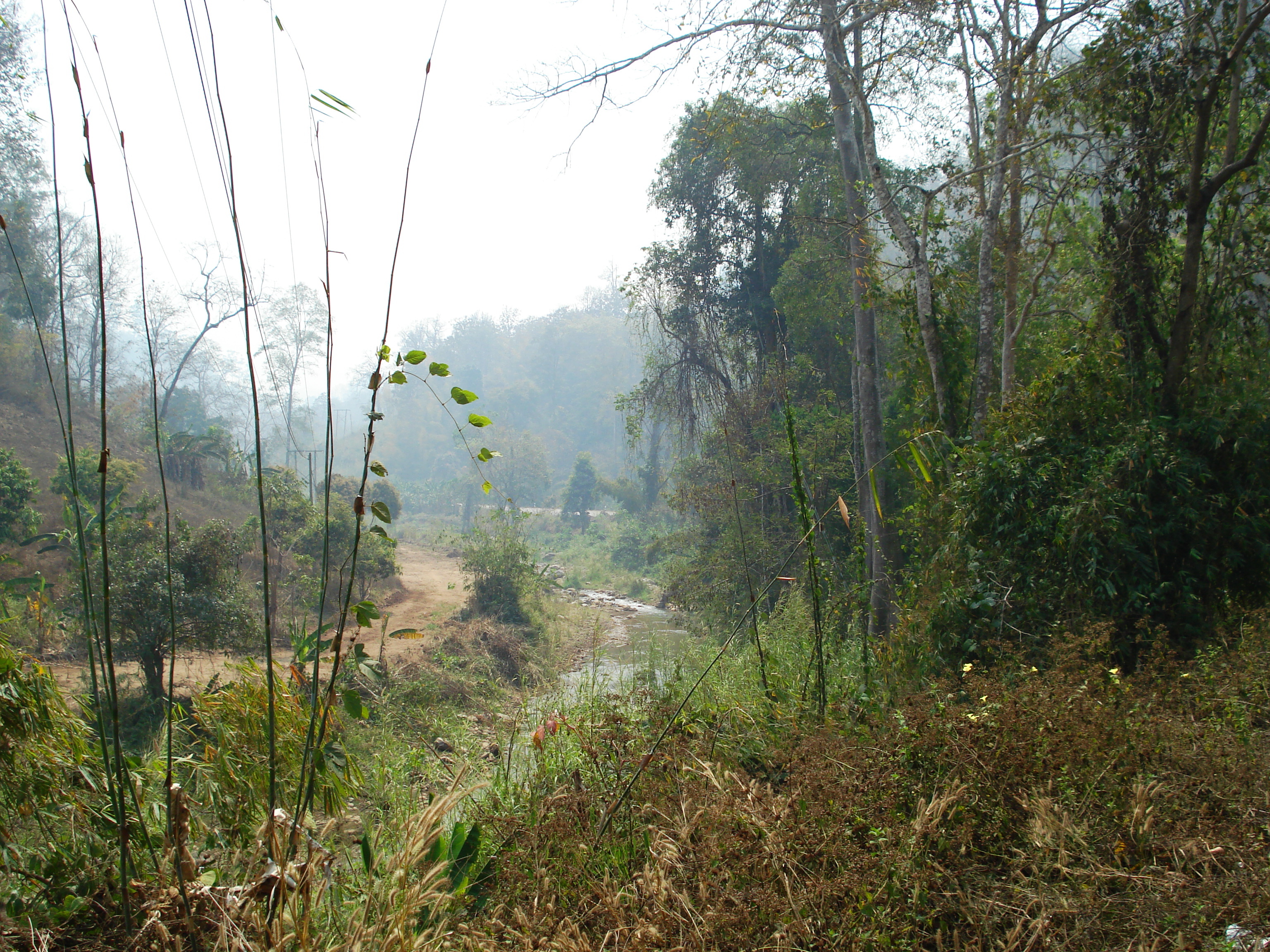 照片 泰国(Thailand) 邦玛帕至拜县公路(Pang Mapha to Pai road) 2007-02 19
