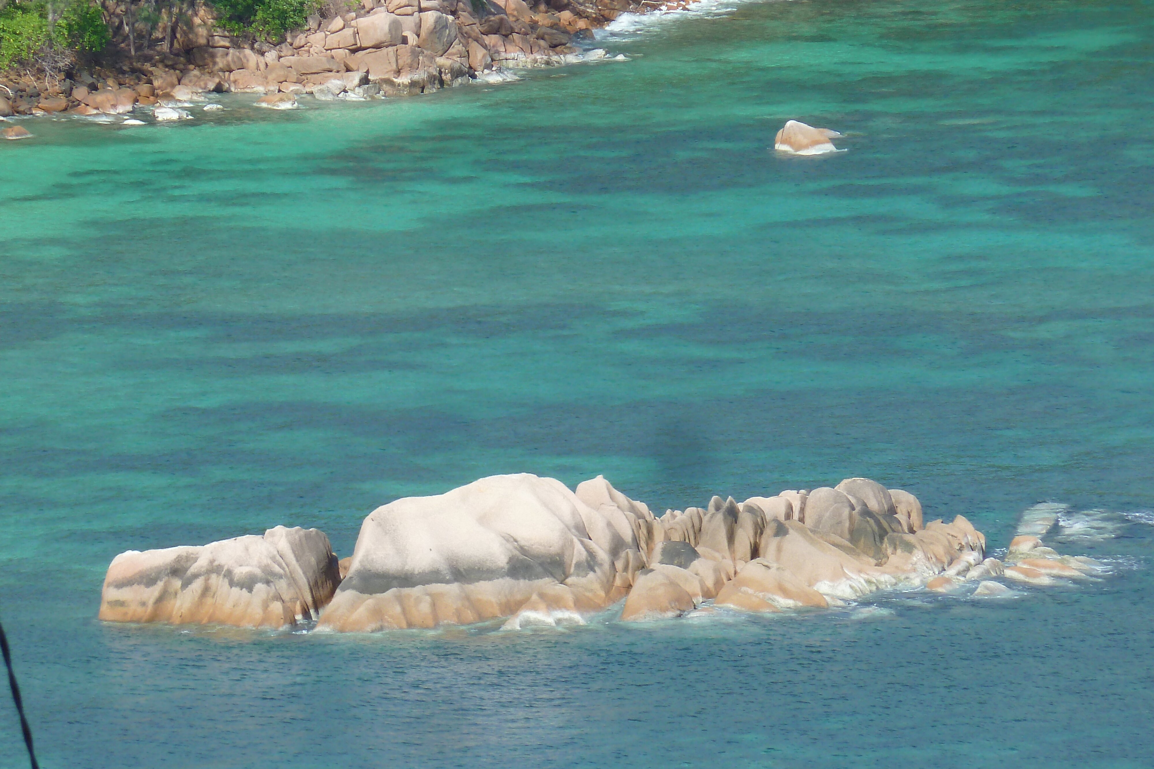 照片 塞舌尔(Seychelles) 普拉兰岛(Praslin) 2011-10 99