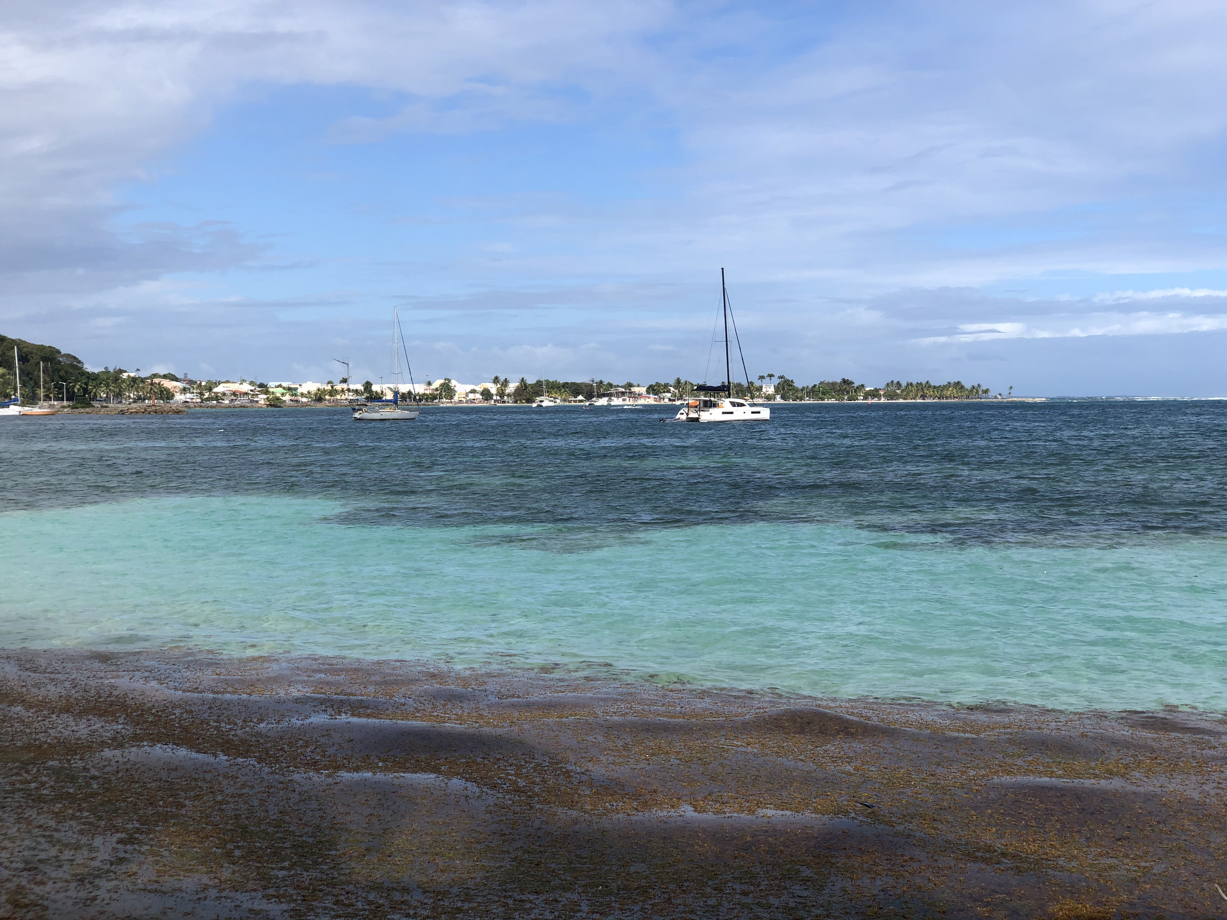 照片 瓜德罗普(Guadeloupe) 卡拉维尔海滩(La Caravelle Beach) 2021-02 22