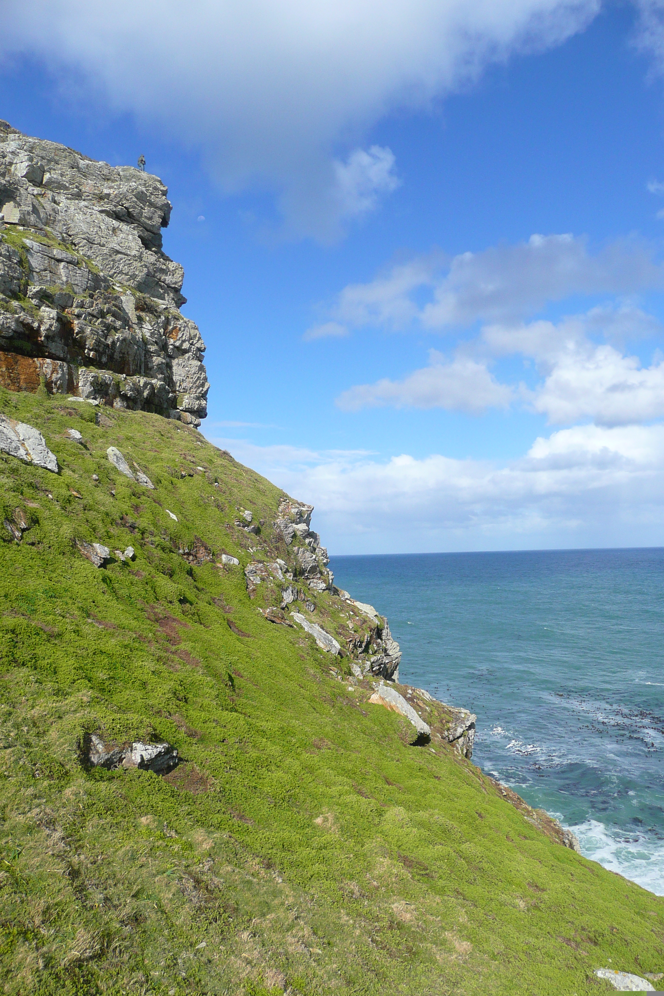 照片 南非(South Africa) 好望角(Cape of Good Hope) 开普角(Cape Point) 2008-09 29